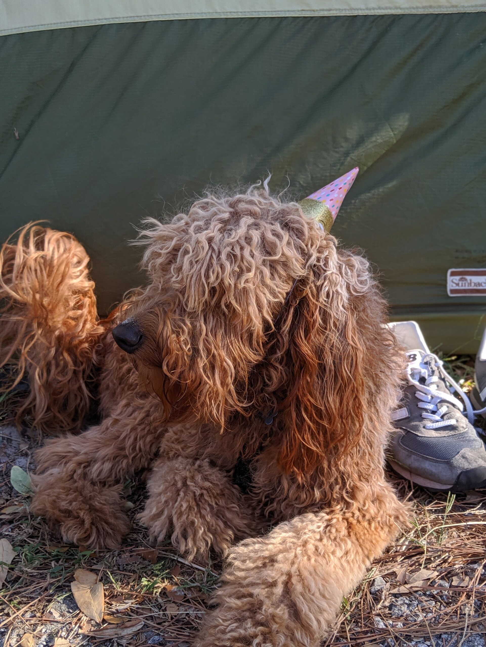 Hunting Island State Park 2019