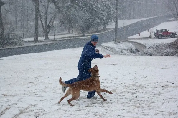 Playing with a dog in the snow.