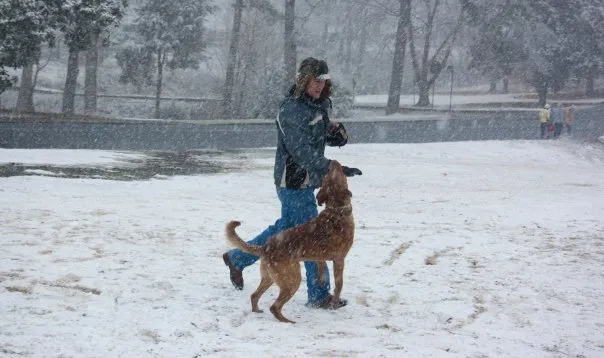 Playing with the dog in the snow.