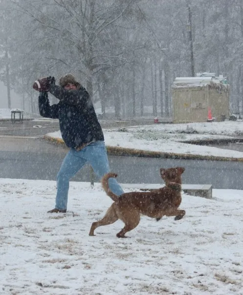 John throws a football in the snow. Dog attempts to chase the ball.