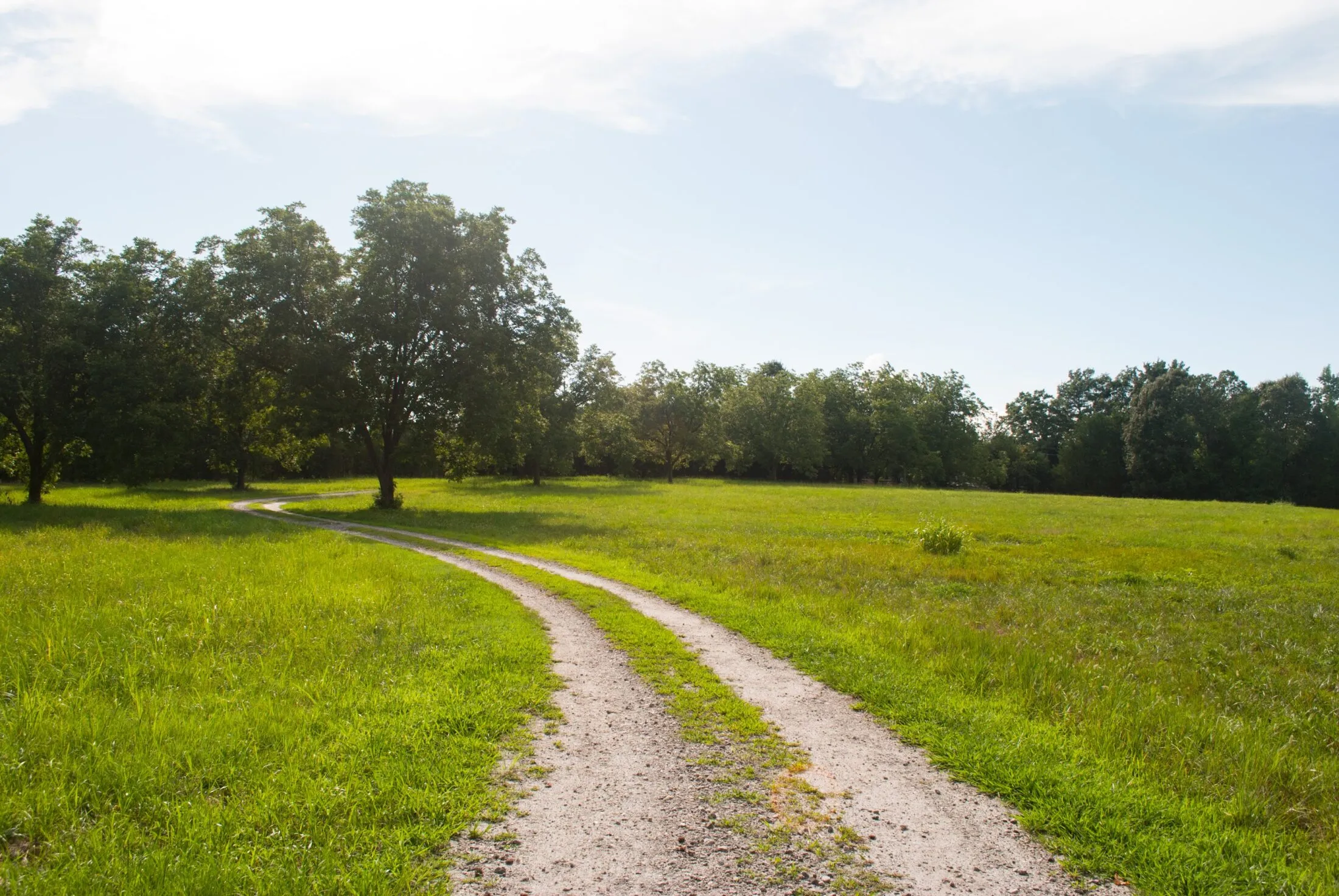 A gravel road winds through a tree-lined field.