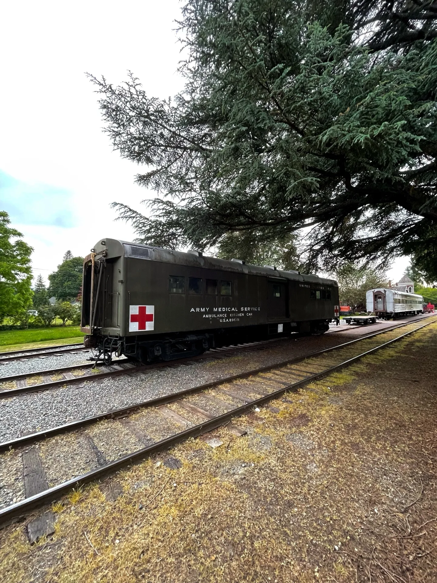 A historic Army Medical Service train car, an 'Ambulance Kitchen Car,' rests on the tracks under the expansive branches of a tree. The olive green exterior and the prominent red cross symbol speak to its past role in providing medical support. The muted colors of the train give a sense of its historical significance.