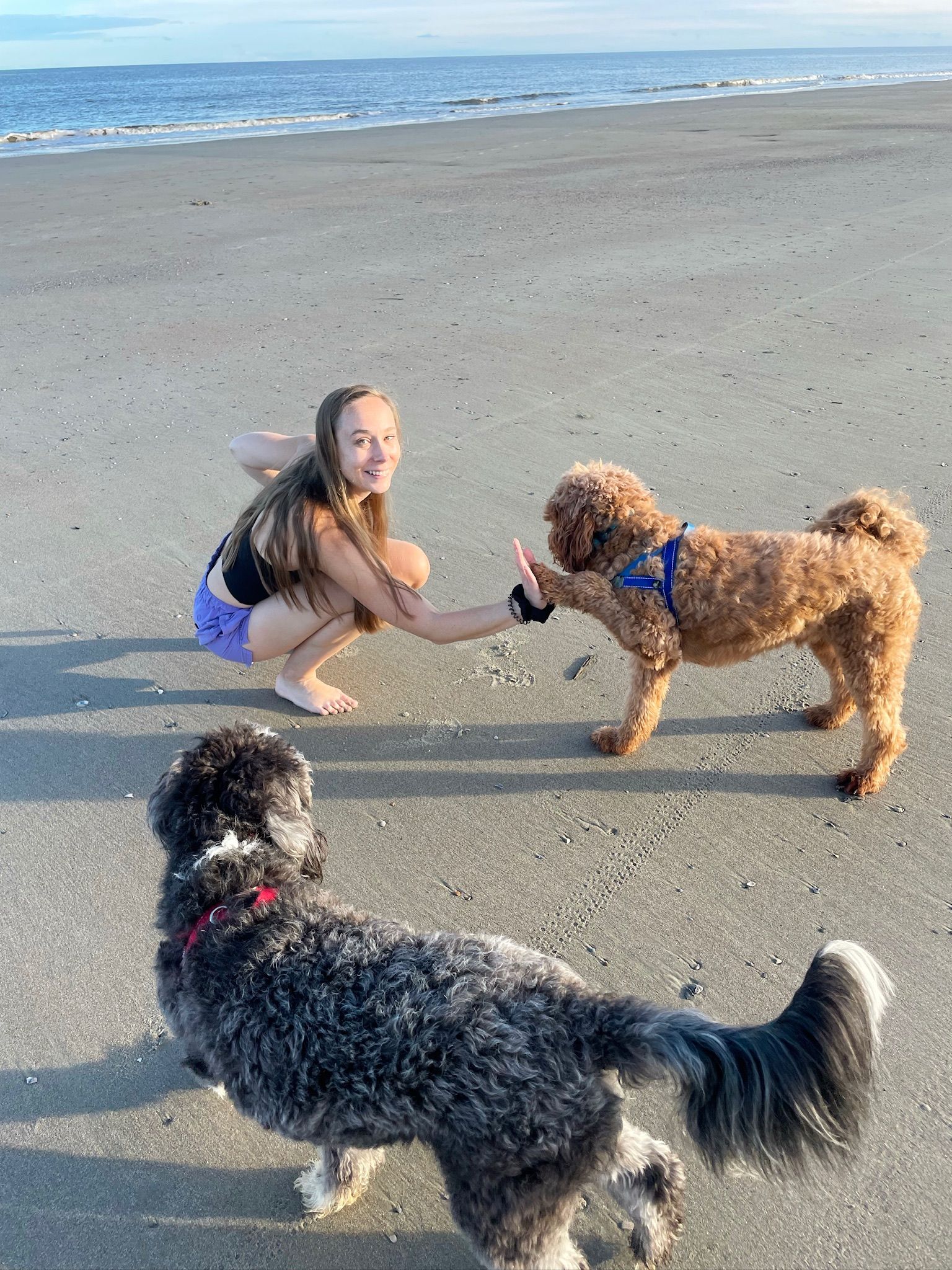 Hunting Island beach scene