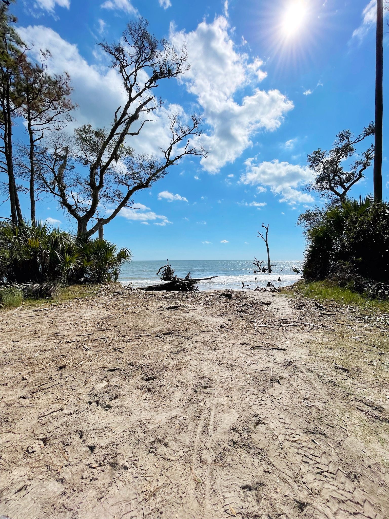 Daufuskie Crab Company scene