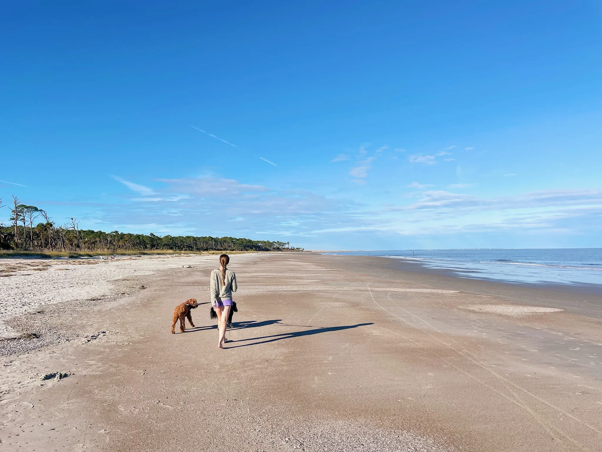Holly walks the dogs at Hunting Island.