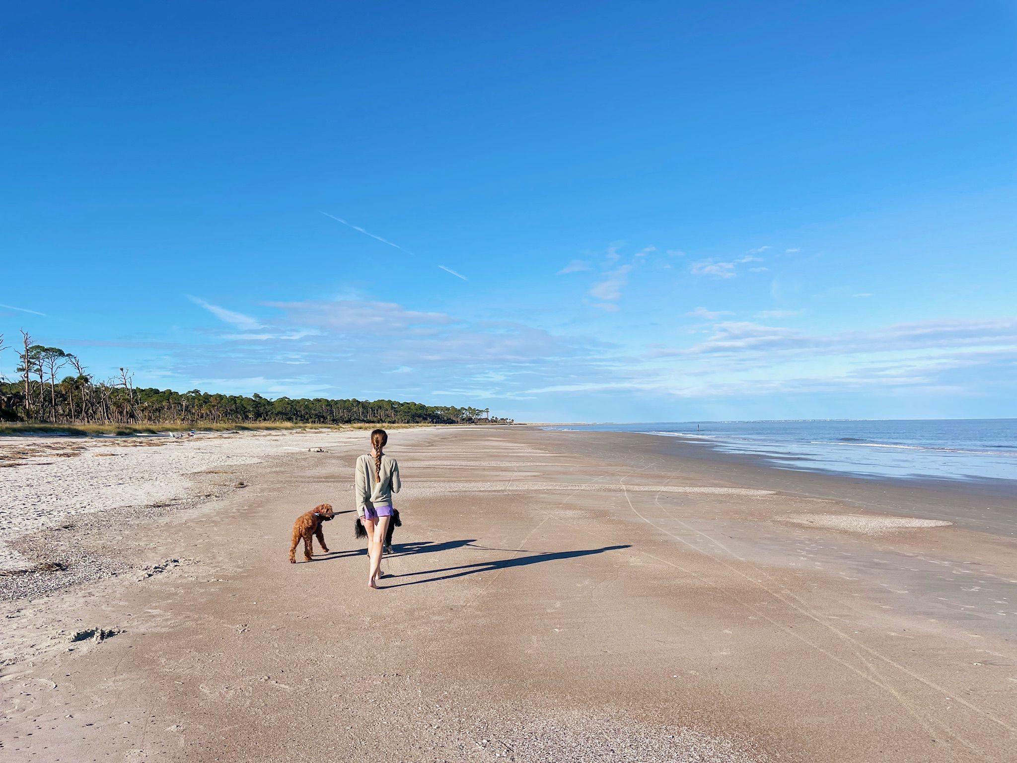 Hunting Island beach scene