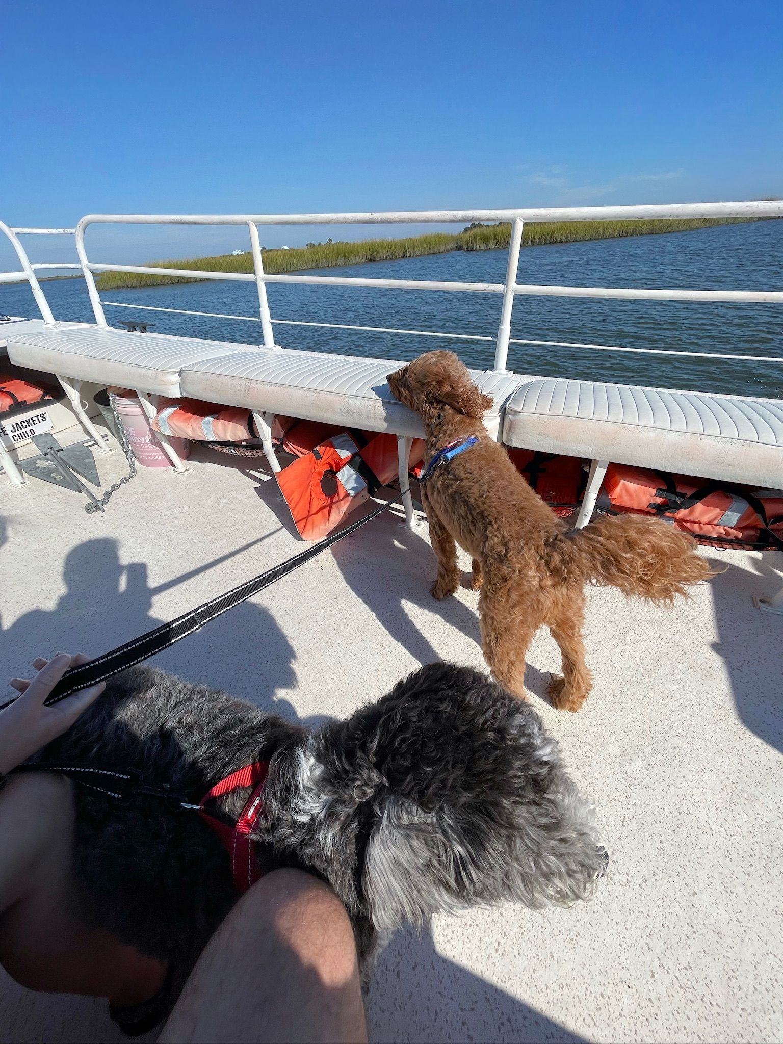 Daufuskie Island scene