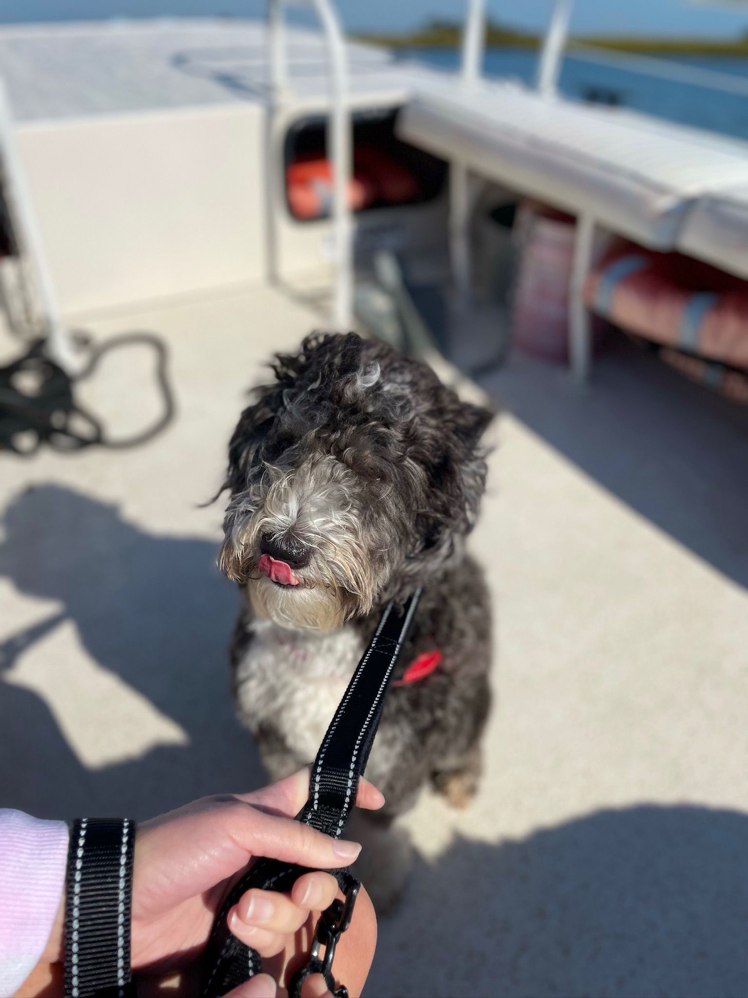 Daufuskie Island scene