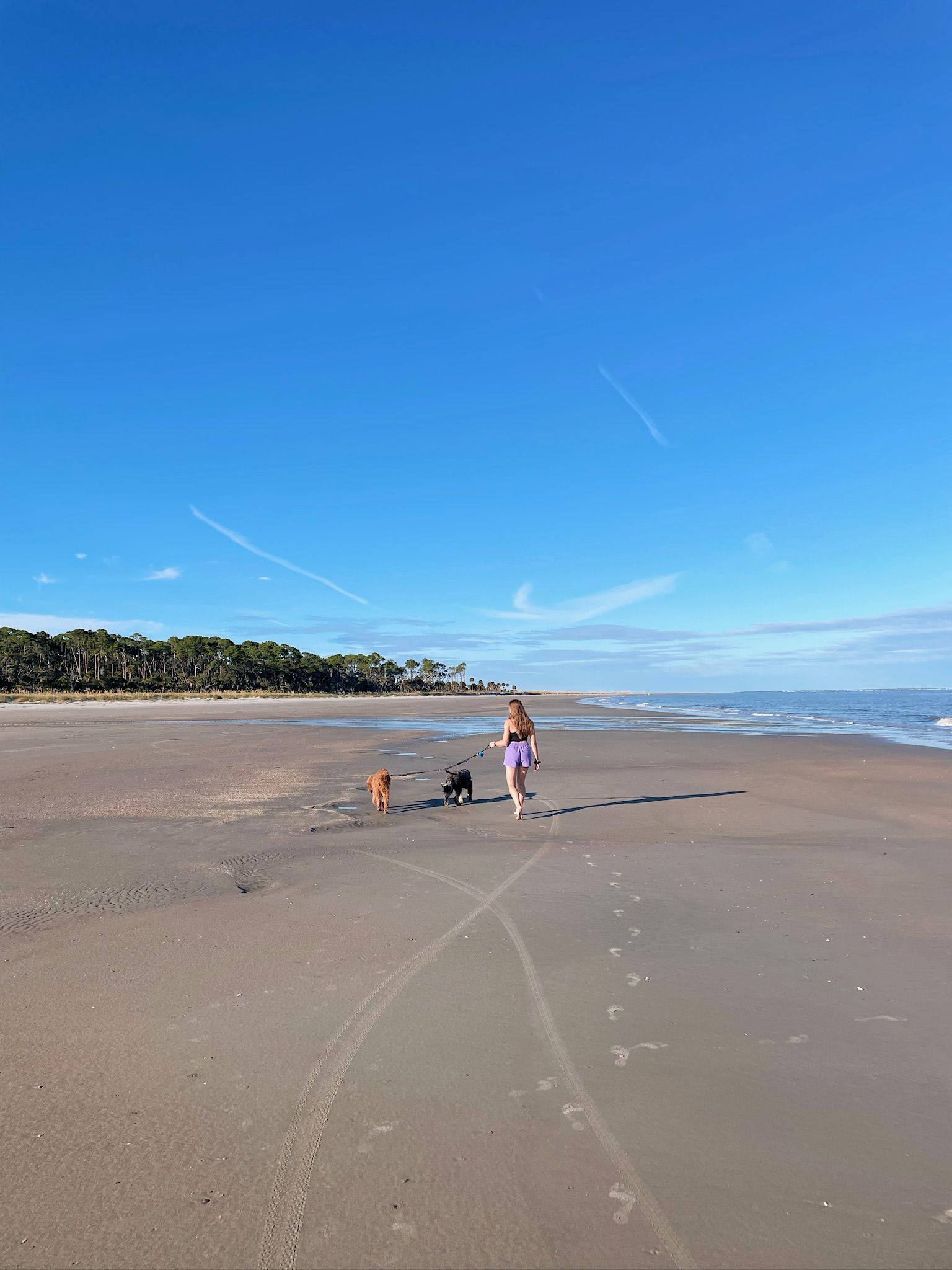 Hunting Island beach scene