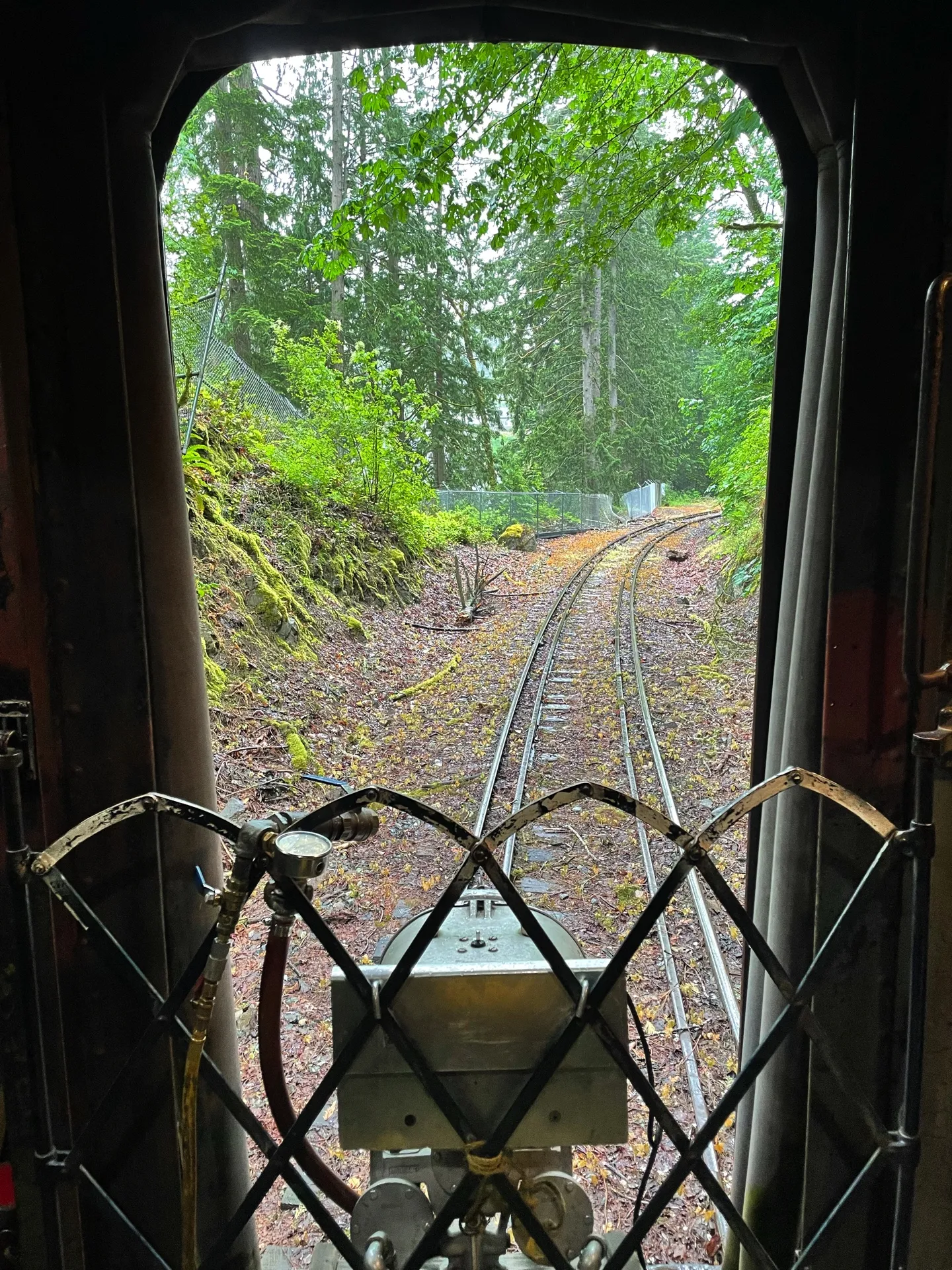 The view from the end of a train car peeks out onto a winding track through a lush Pacific Northwest forest. Dappled light filters through the dense canopy of trees onto the railway, which disappears into the misty distance. The quiet, verdant landscape envelops the tracks.