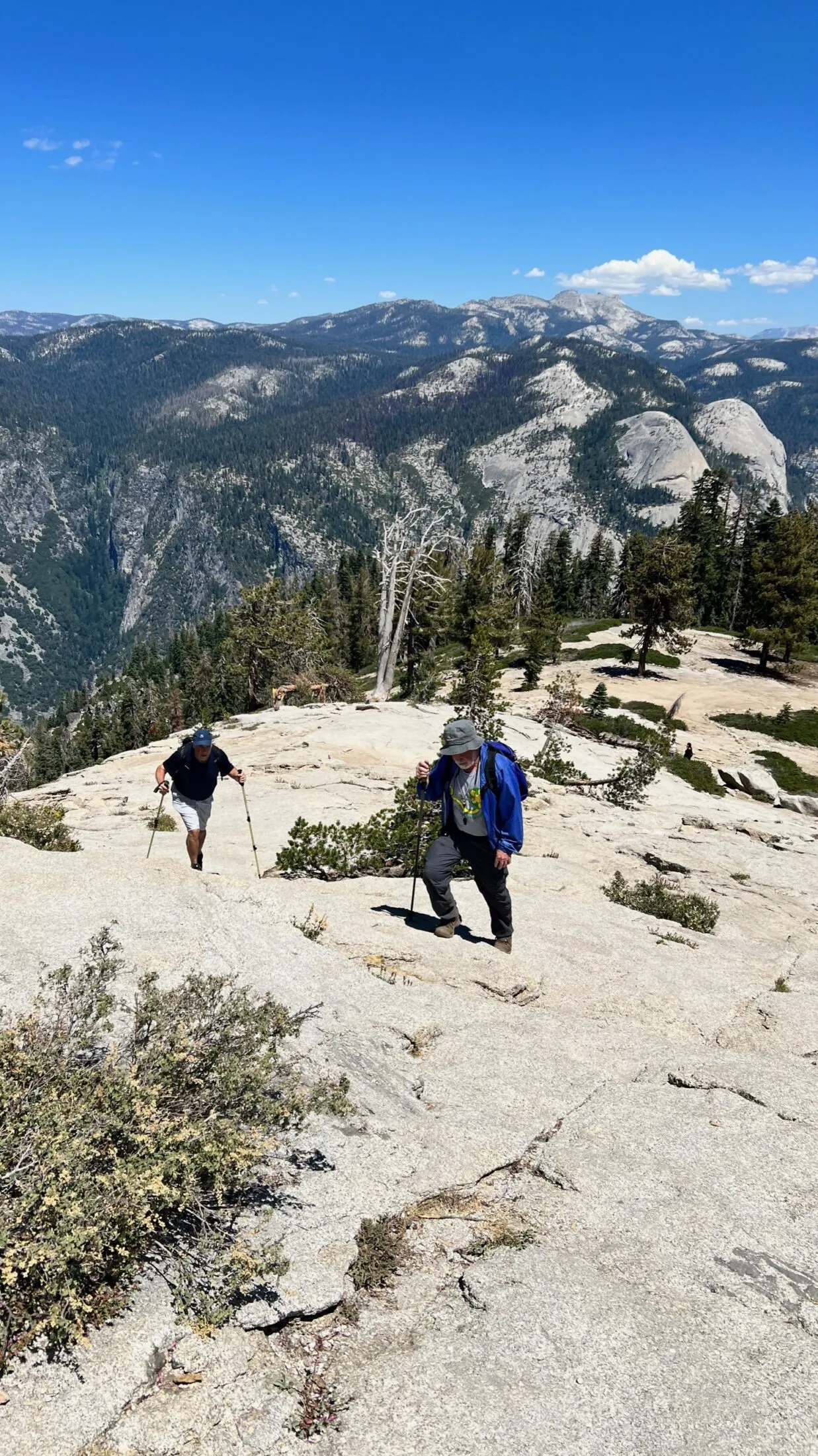 Dad and Uncle Ron on the last stretch to the summit of Sentinel Dome.
