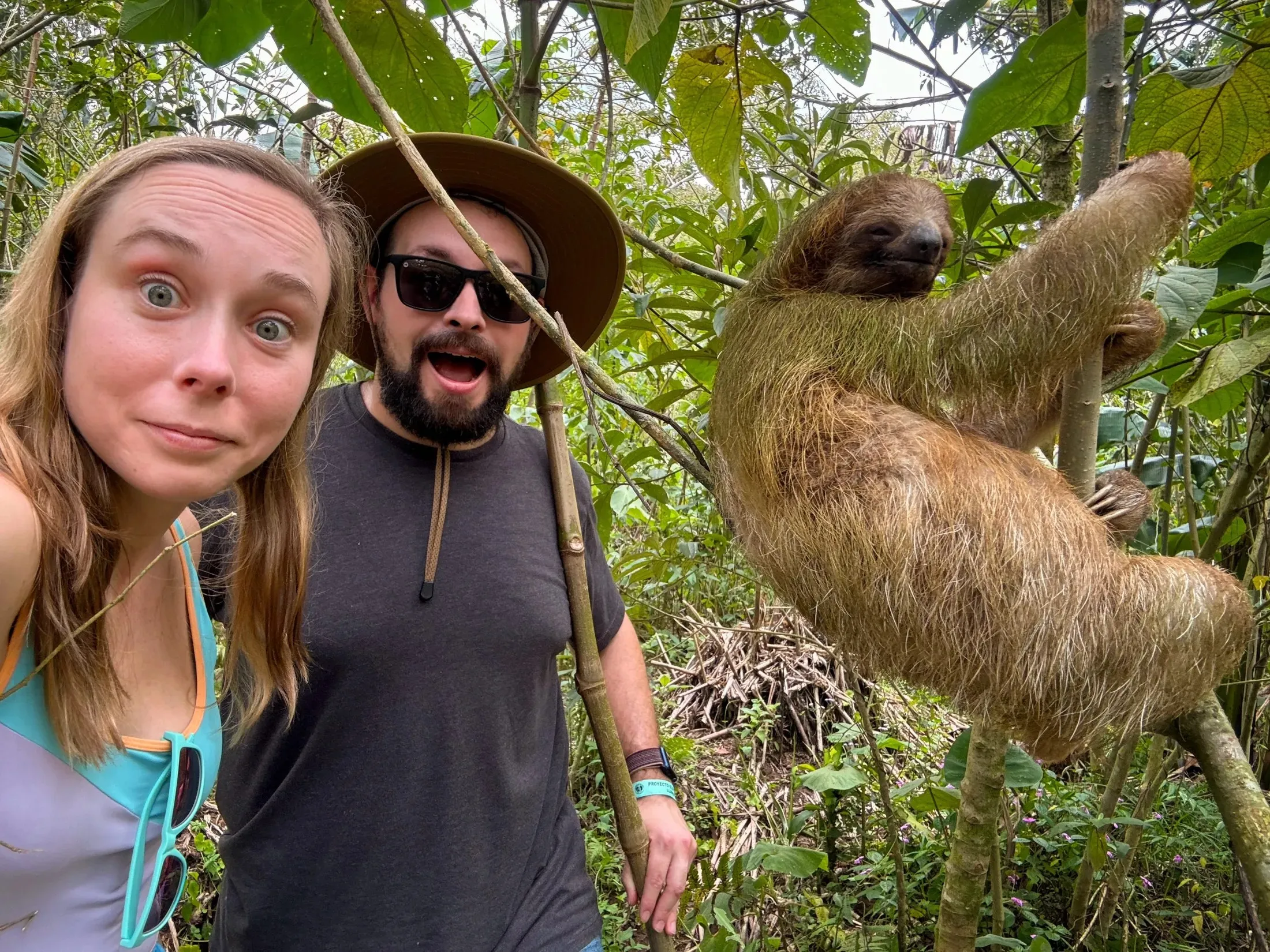 Holly, Sam and a Sloth at the Sloth's Ecological Farm in Costa Rica.