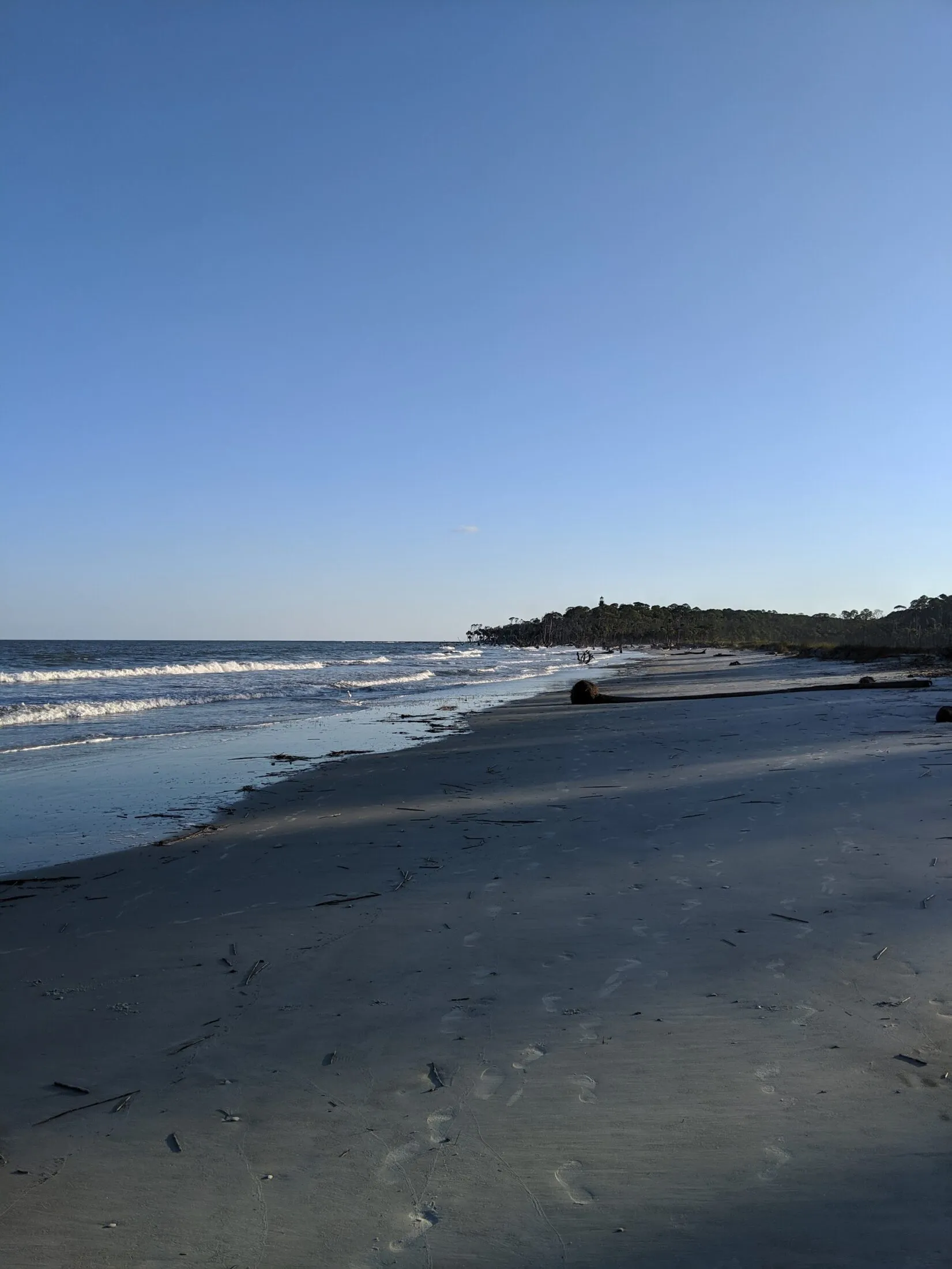 Driftwood beaches of Hunting Island.