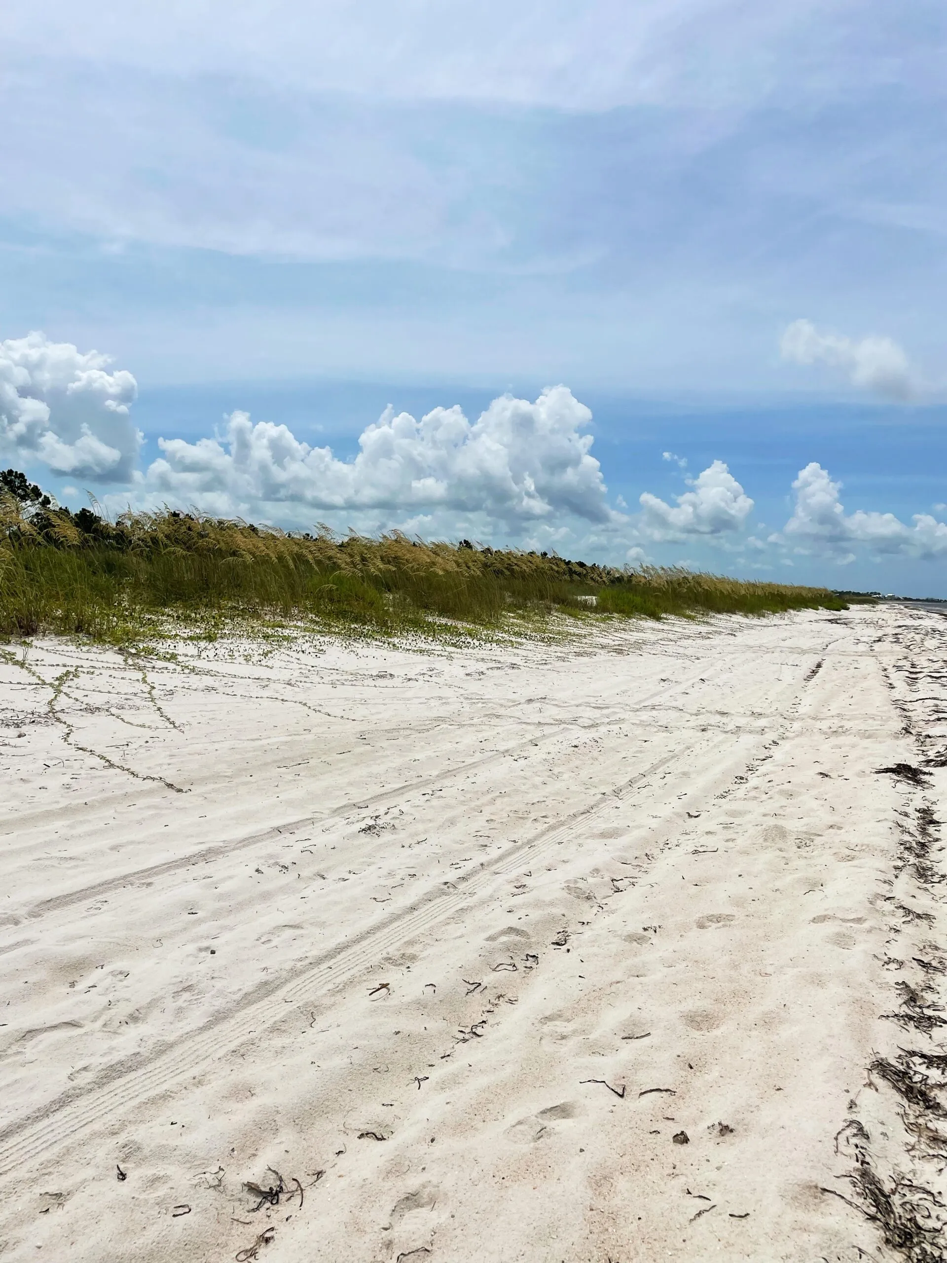 A long stretch of Port St. Joe Beach without anyone in sight.