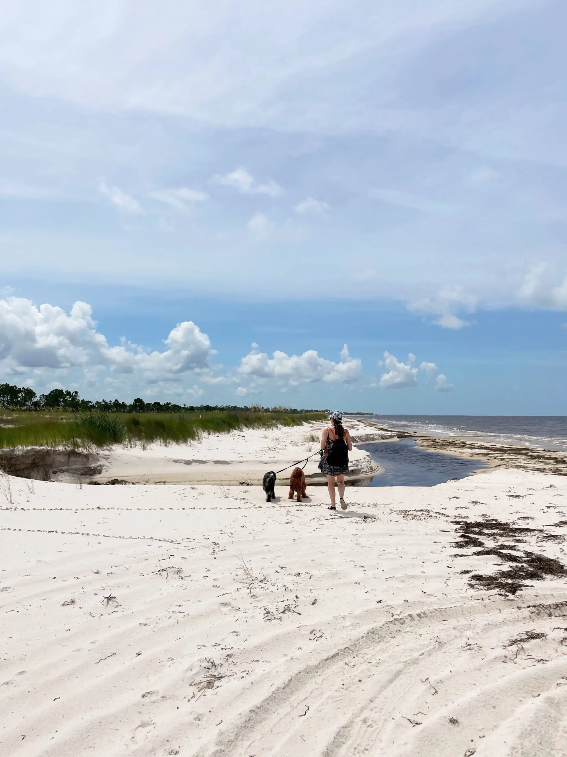 Holly and the dogs stand in front of a small waterway dividing the beach.