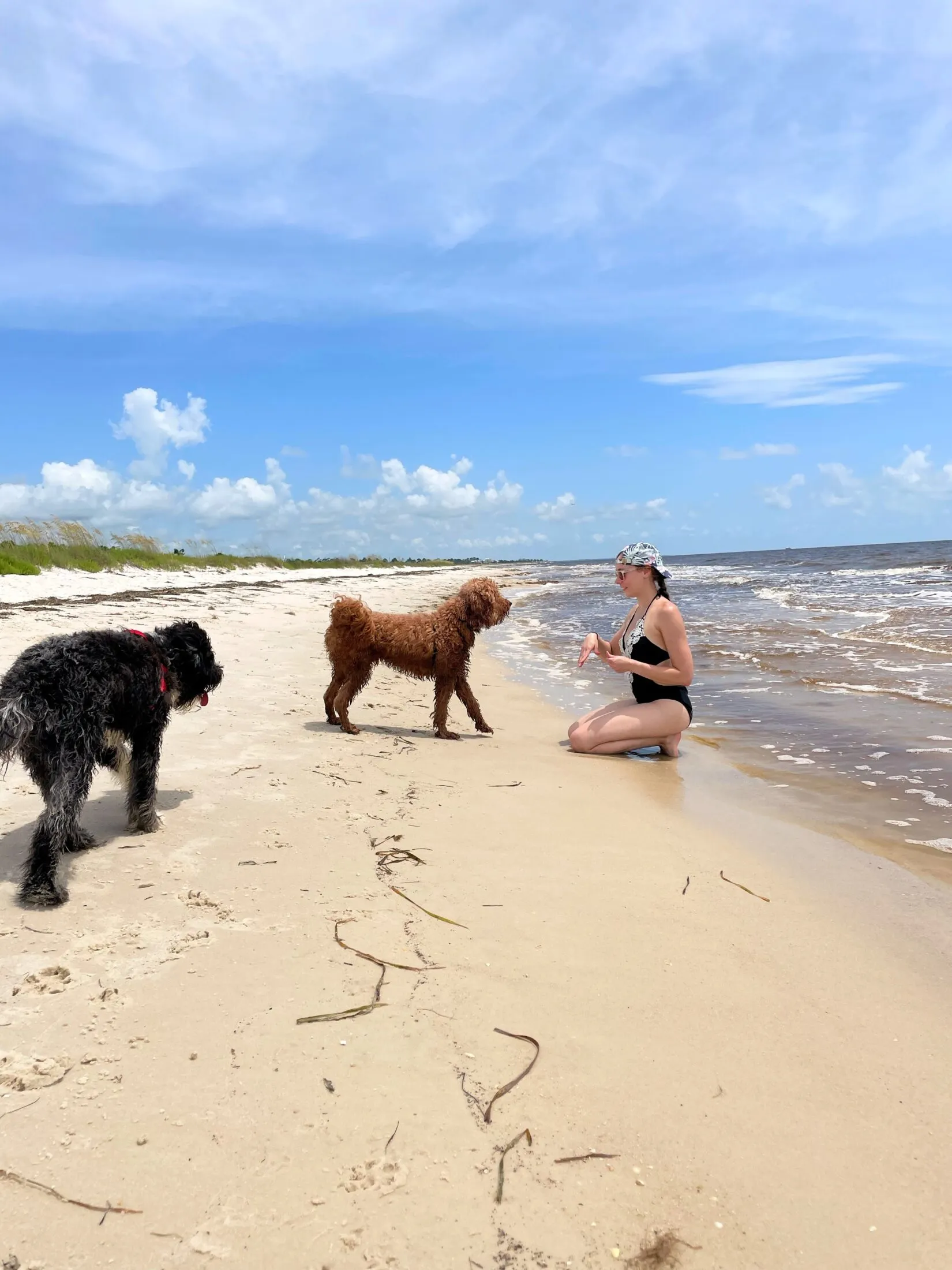 Holly sits on the beach attempting to get Remi to give her a high five.