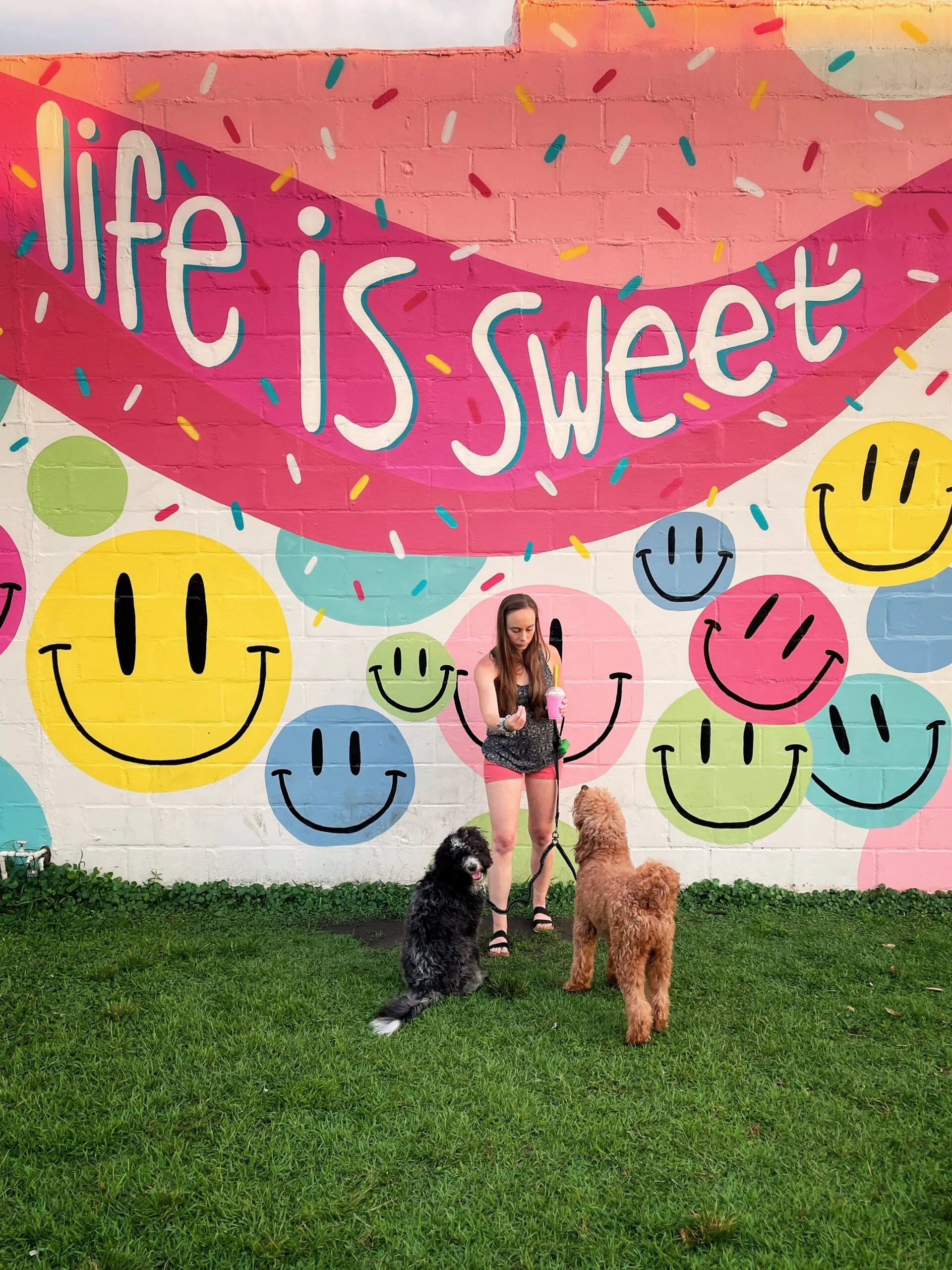 Holly attempts to get Otto and Remi to sit in front of a pink sign that says "Life is sweet." Otto looks back at the camera.