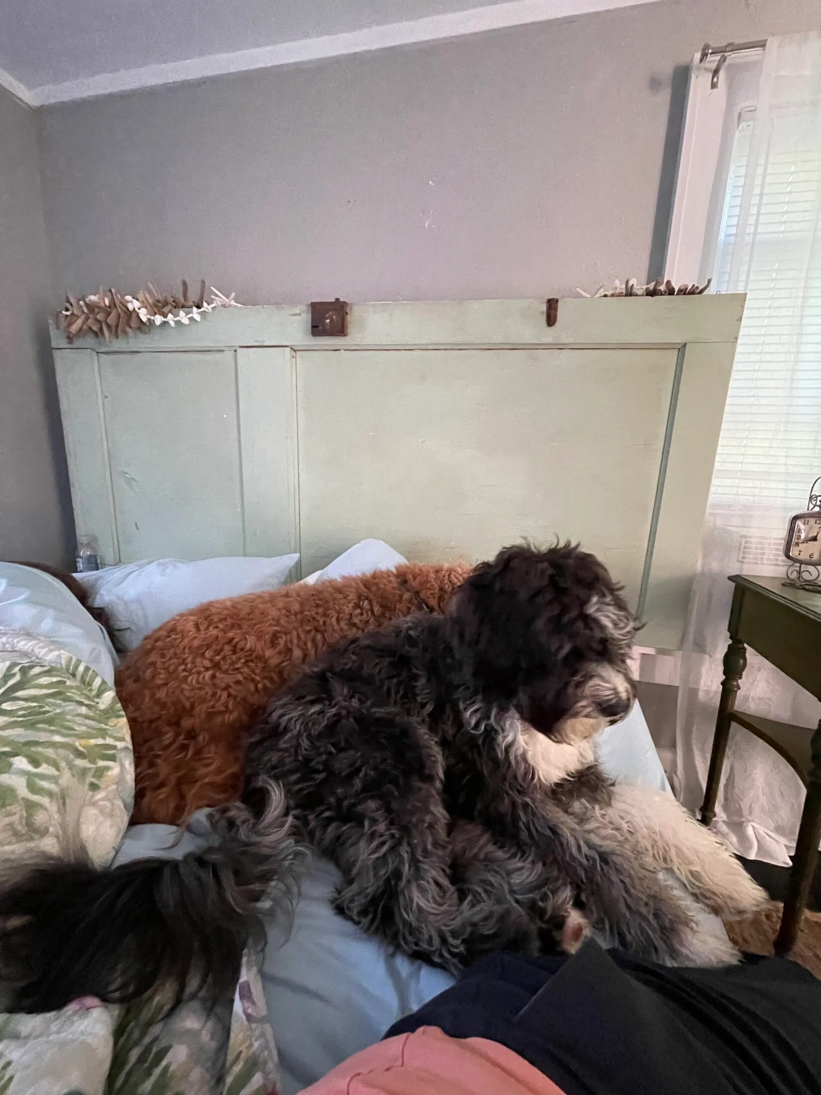 Otto and Remi on top of the bead.