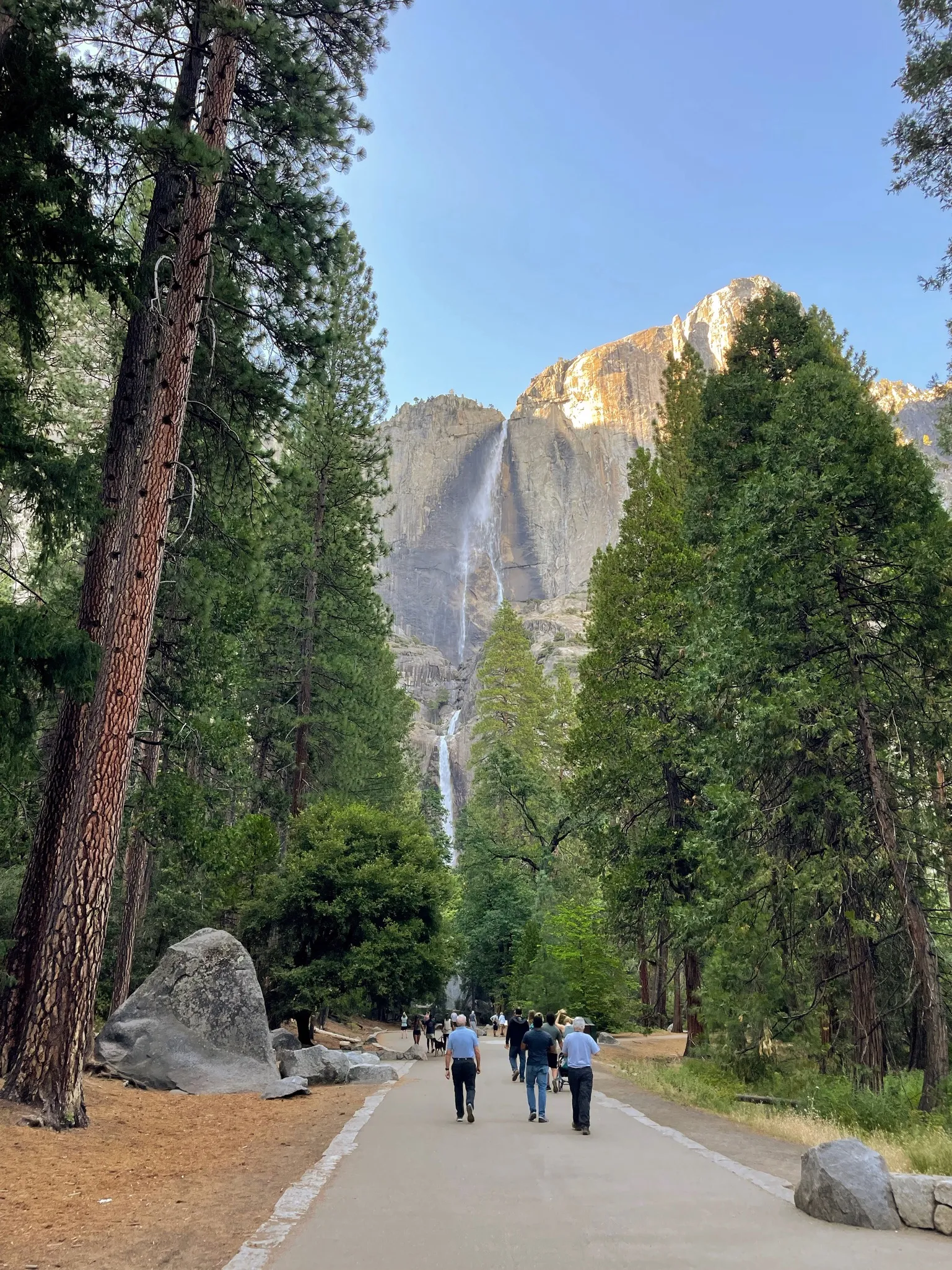 The approach to Yosemite Falls.
