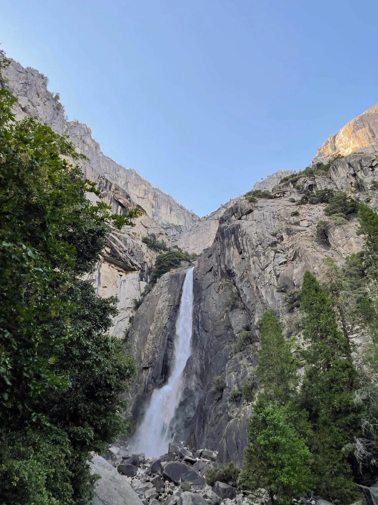 Yosemite Falls from the valley.