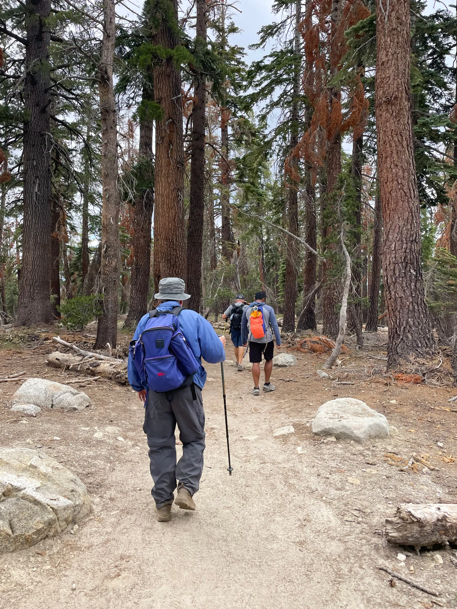 The hike not far from the May Lake trailhead.