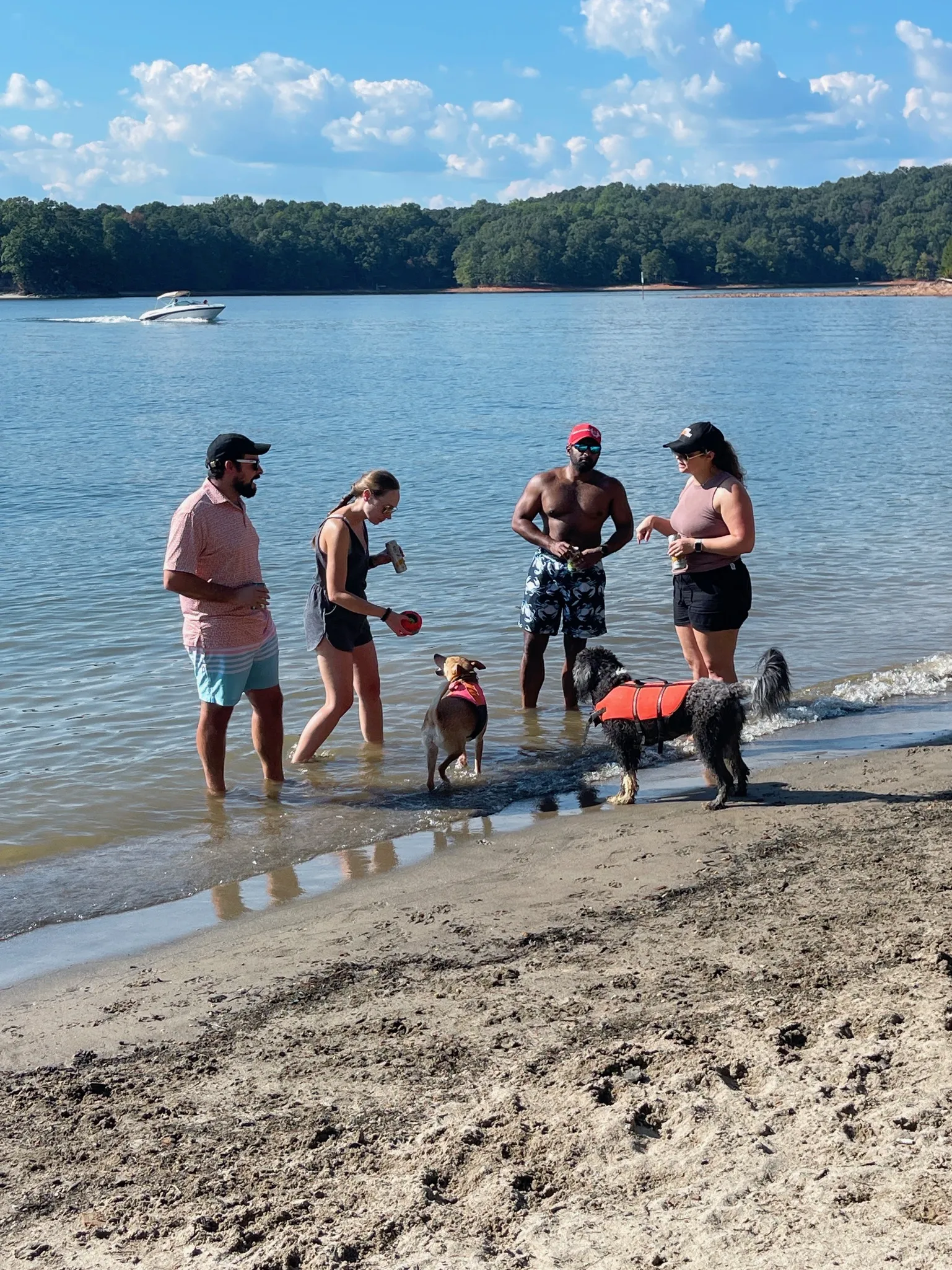 Sam, Holly, Andy and Rachel hang out in the water with the dogs.