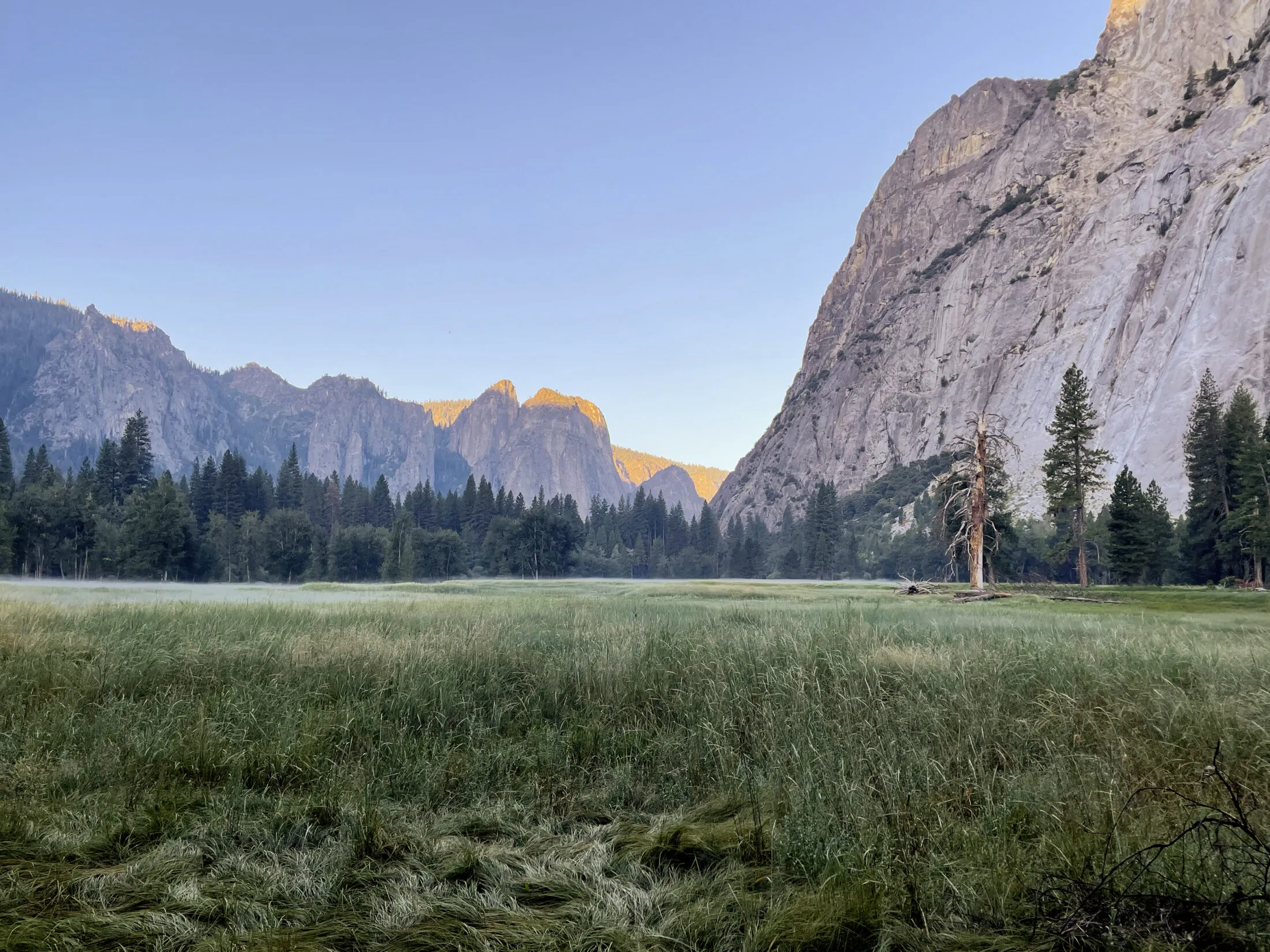 A mist appears over the meadows early in the morning.