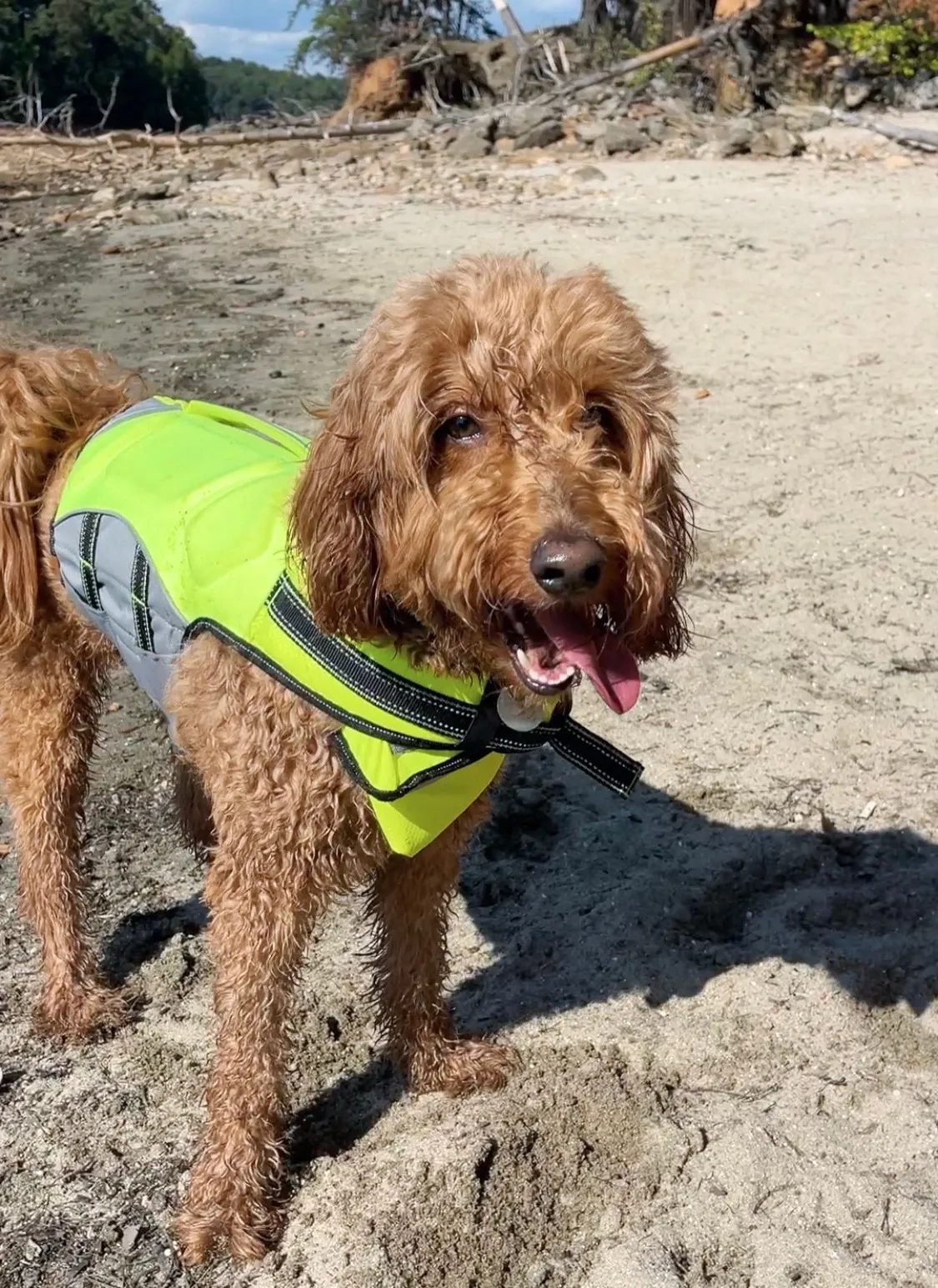 Portrait of Remi with a life jacket on the beach.