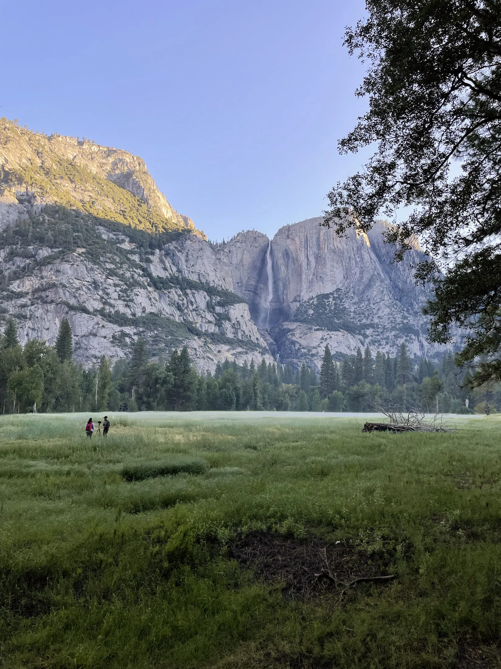 A few people set up for photos in the meadow.