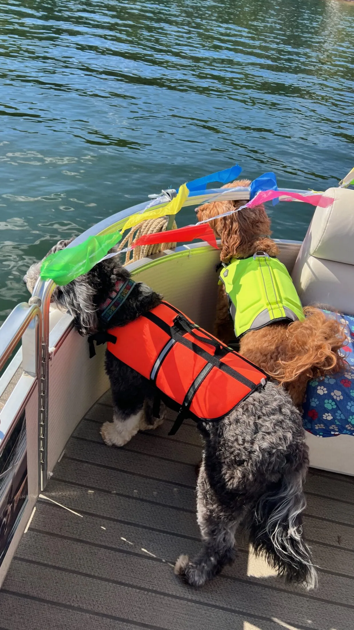 Otto and Remi look out the front of the boat.