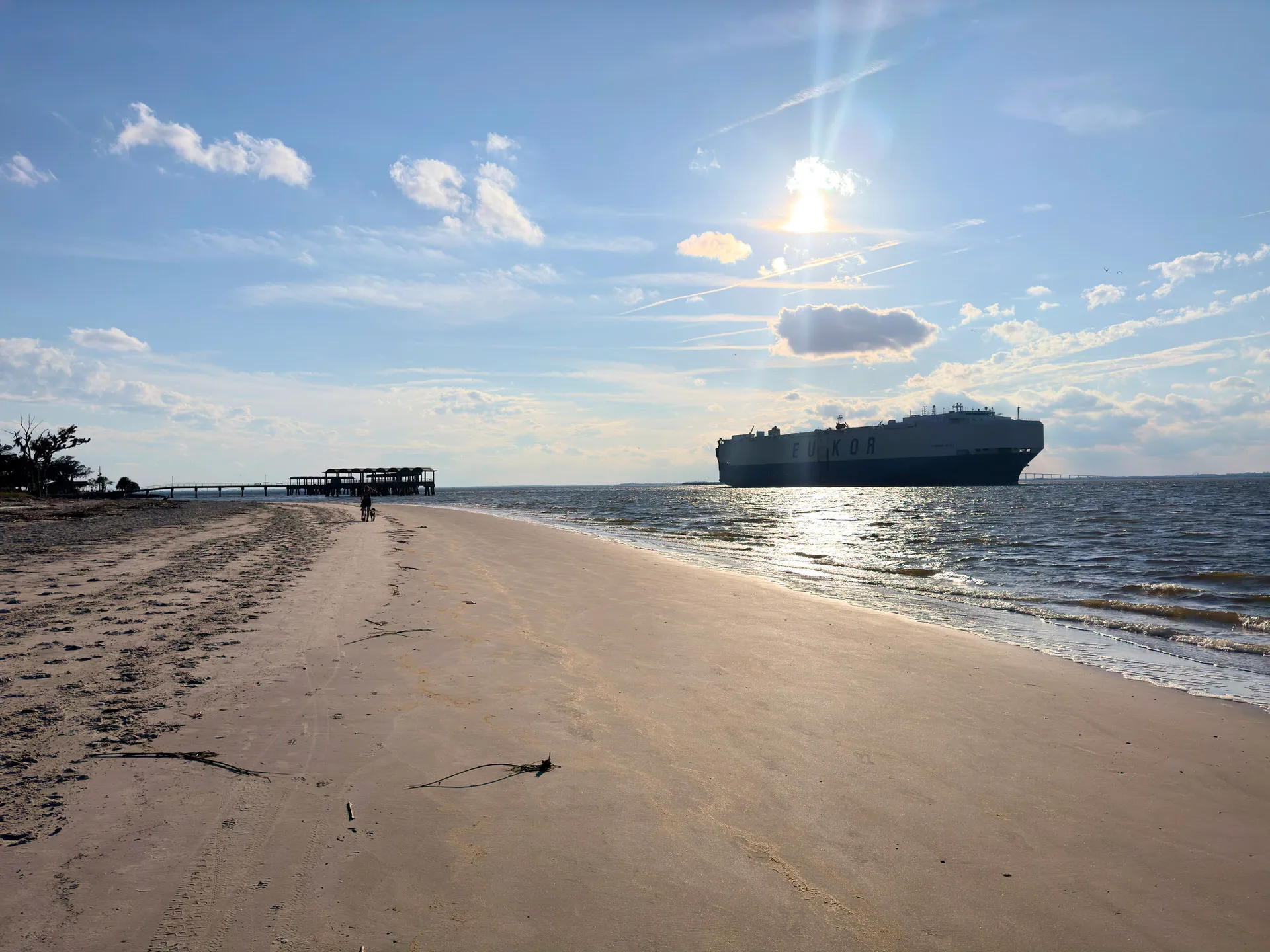 Holly walks along the beach with Remi and Otto. She holds here hand over her eyes to observe the enormous cargo ship in the distance.