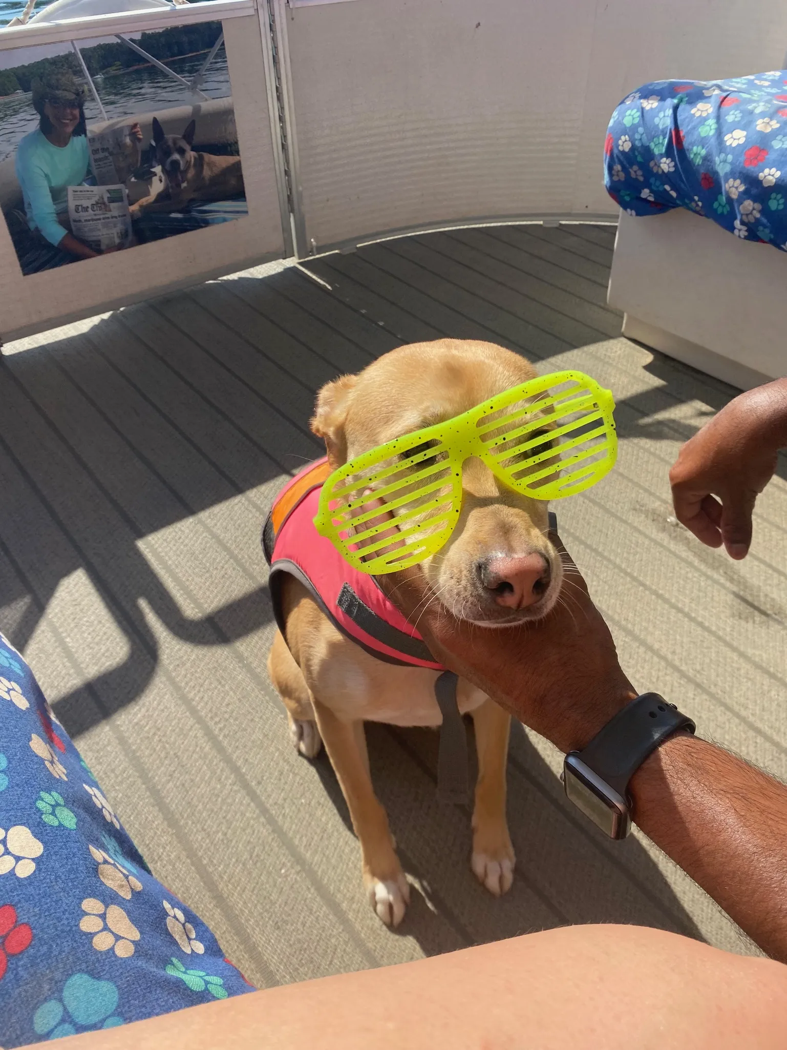 Luna wearing neon green shutter shades.