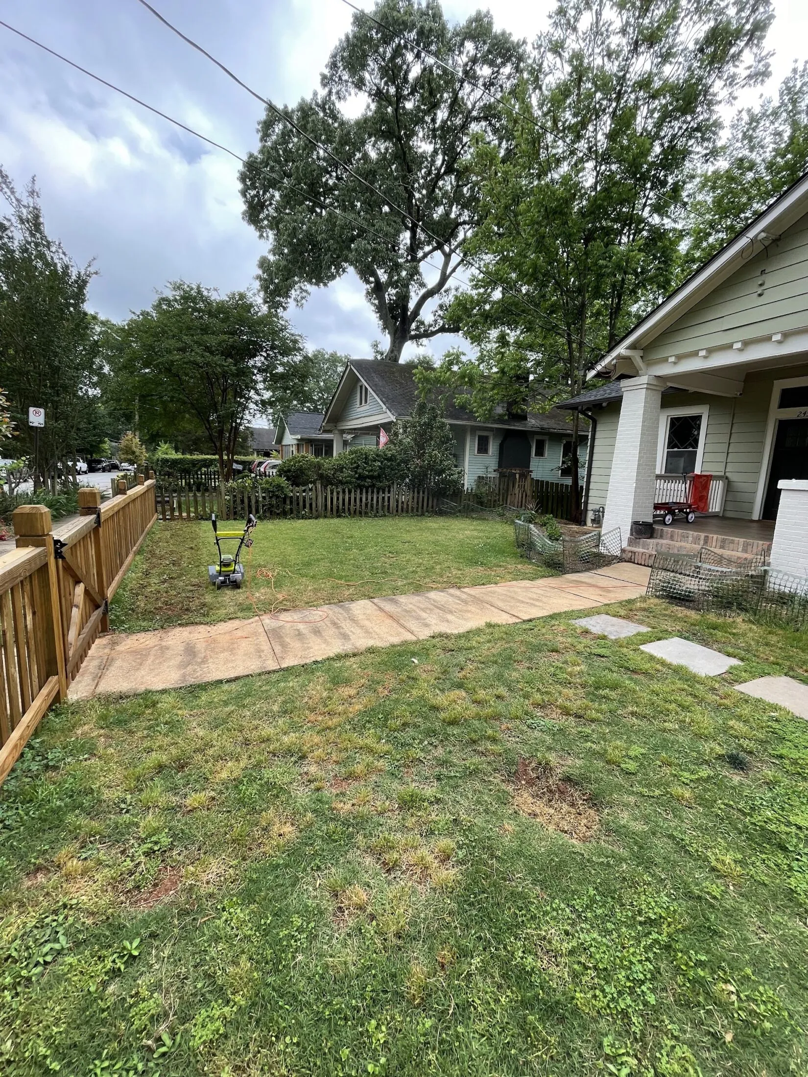 Lawn before I started tilling.