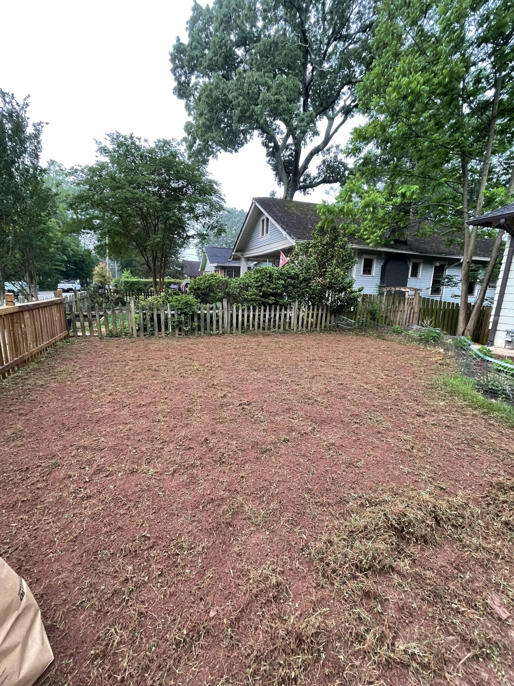 Lawn after the 5th pass with the tiller.