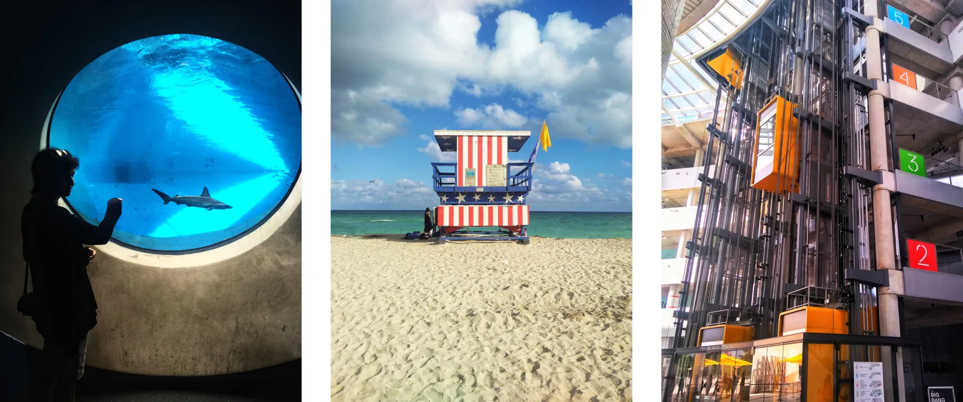 Moto G5s Plus Camera Example Edited