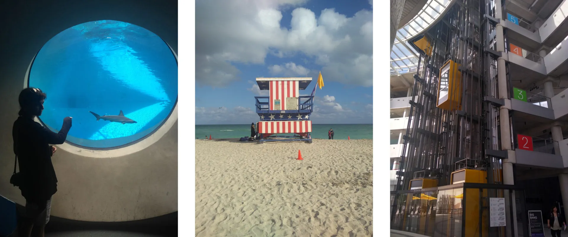 Moto G5s Plus Camera Example Unedited