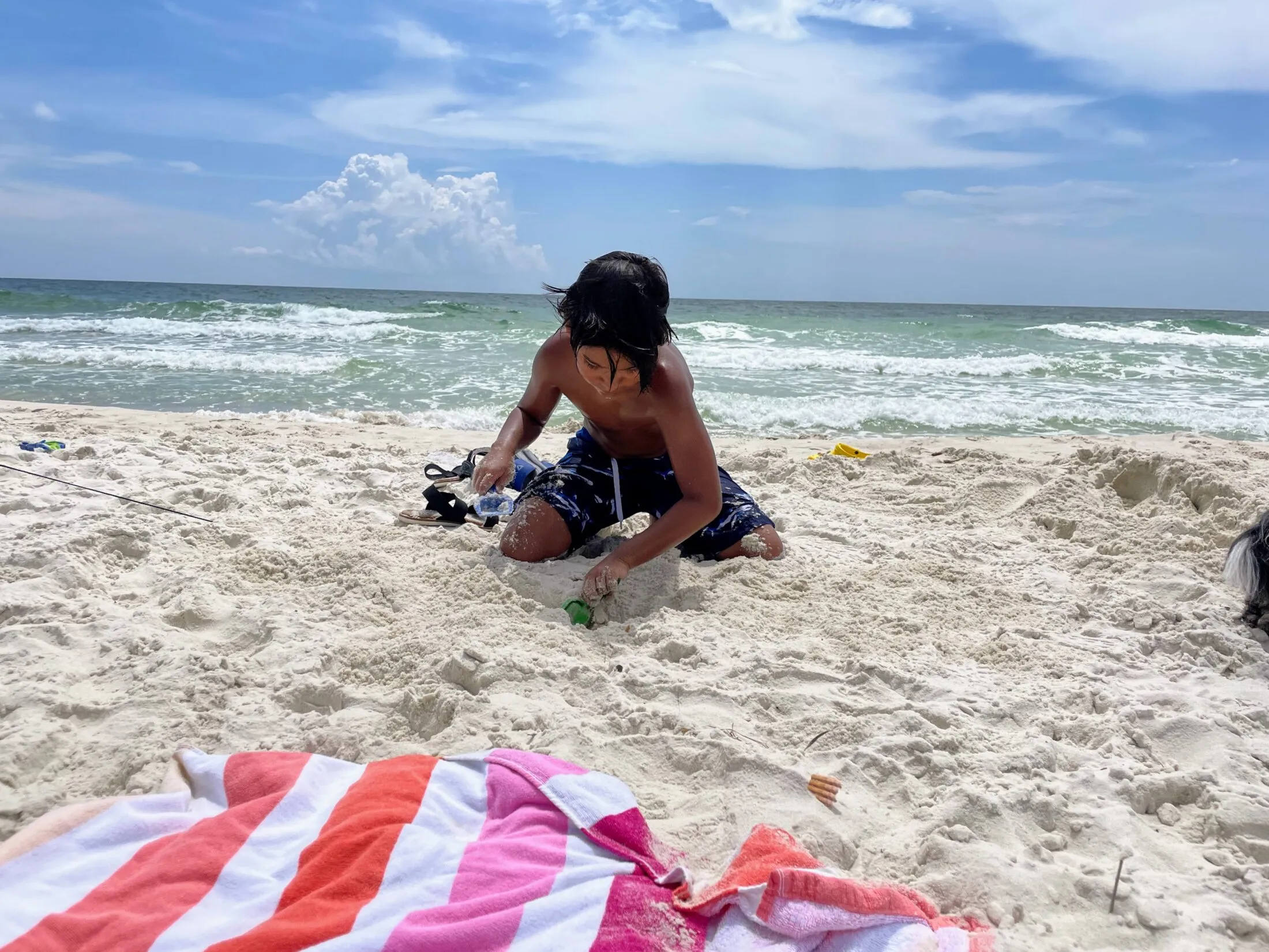 Oliver digging in the sand at the beach.