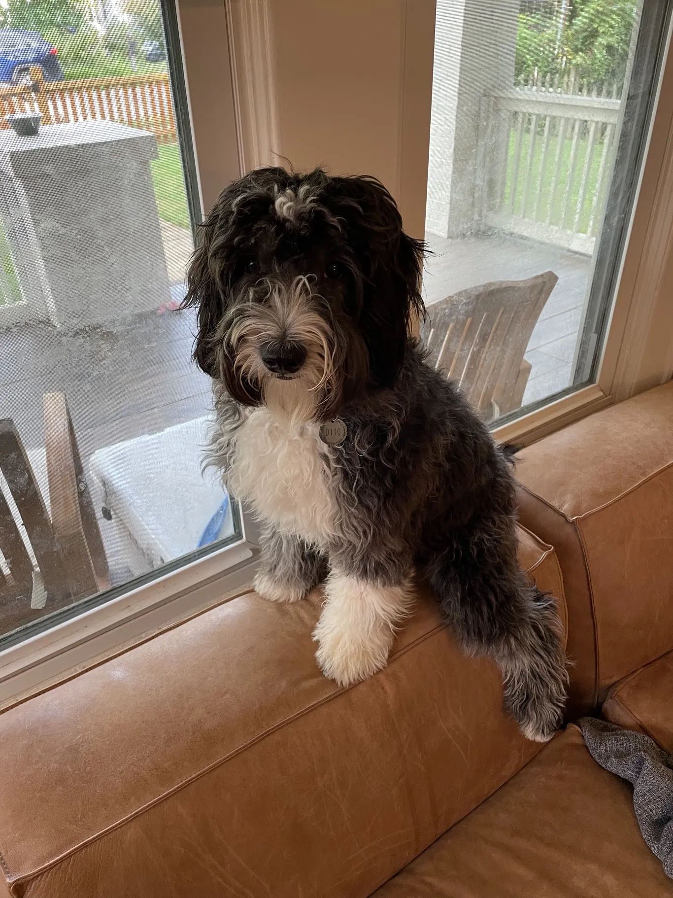 Otto sitting just before his first birthday.