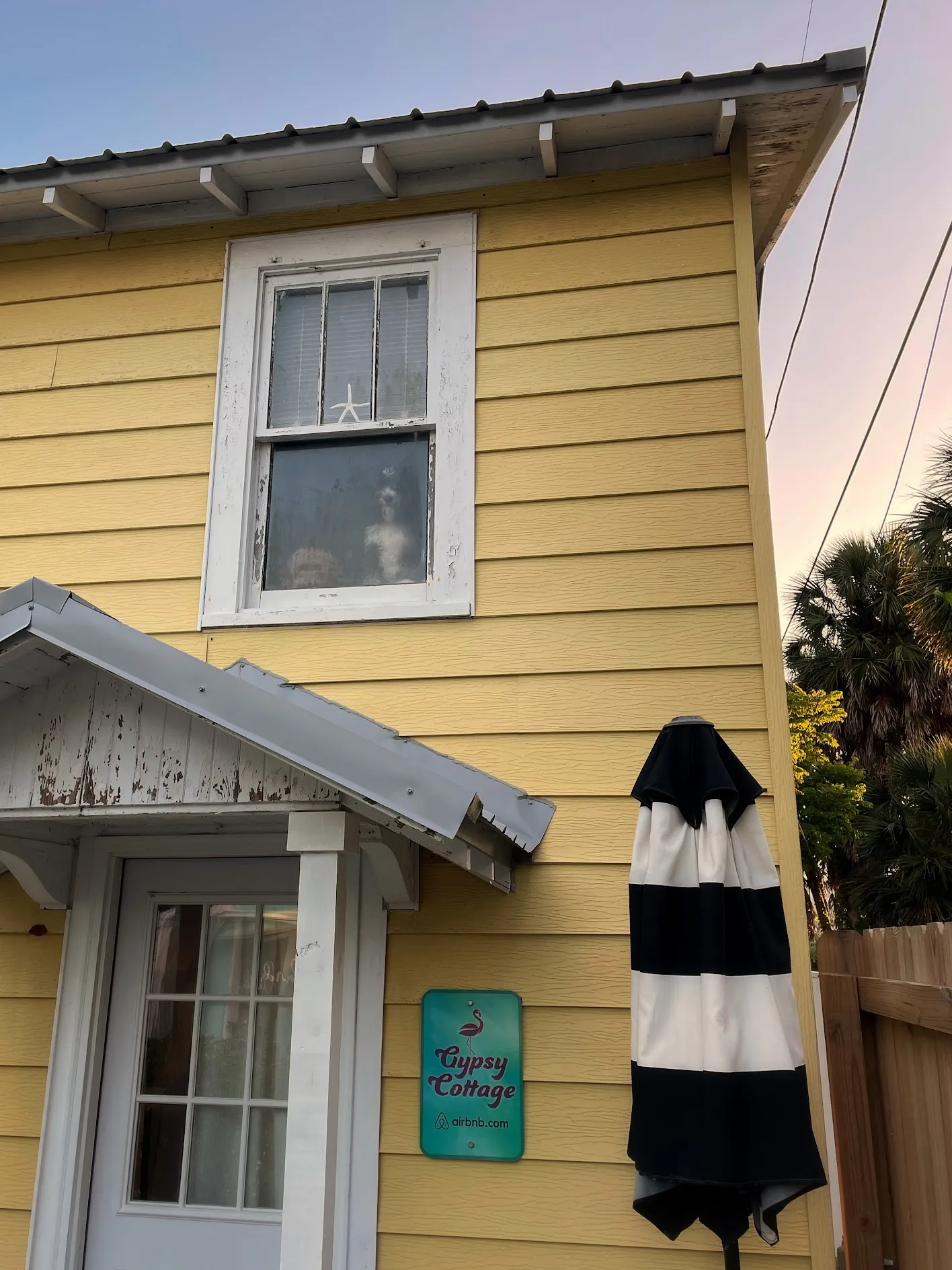 A little yellow cottage. Two dogs look out the second story window.