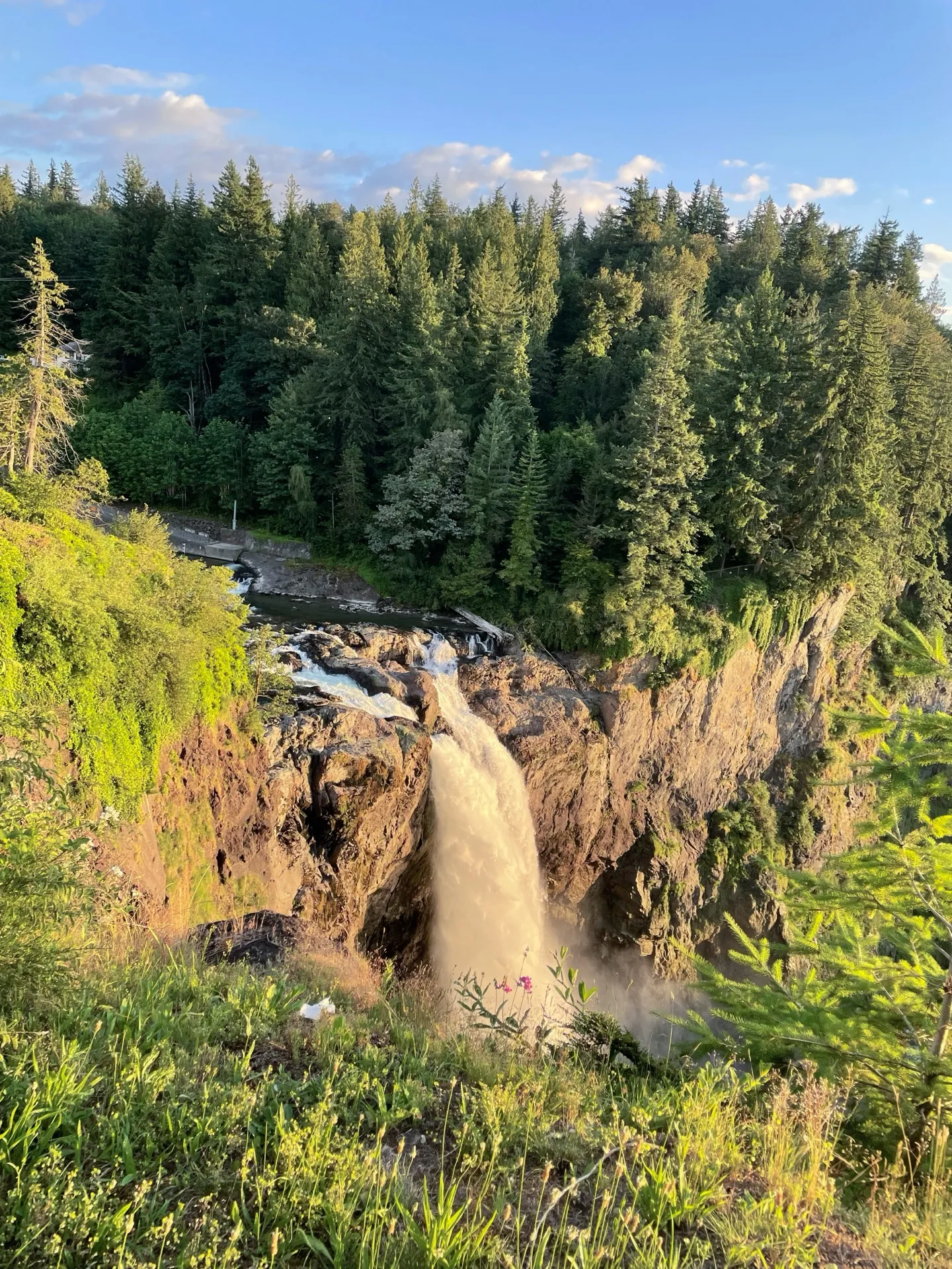 Snoqualmie Falls cascades forcefully through a crevice in the rocky terrain, illuminated by the soft light of the early evening sun. The waterfall is a frothy column of white, contrasting with the rugged, dark cliffs and the rich greenery of the Pacific Northwest forest that surrounds it. Wildflowers and grass in the foreground sway gently in the breeze, while the serene sky above peeks through the dense canopy of trees, completing this picturesque natural scene.