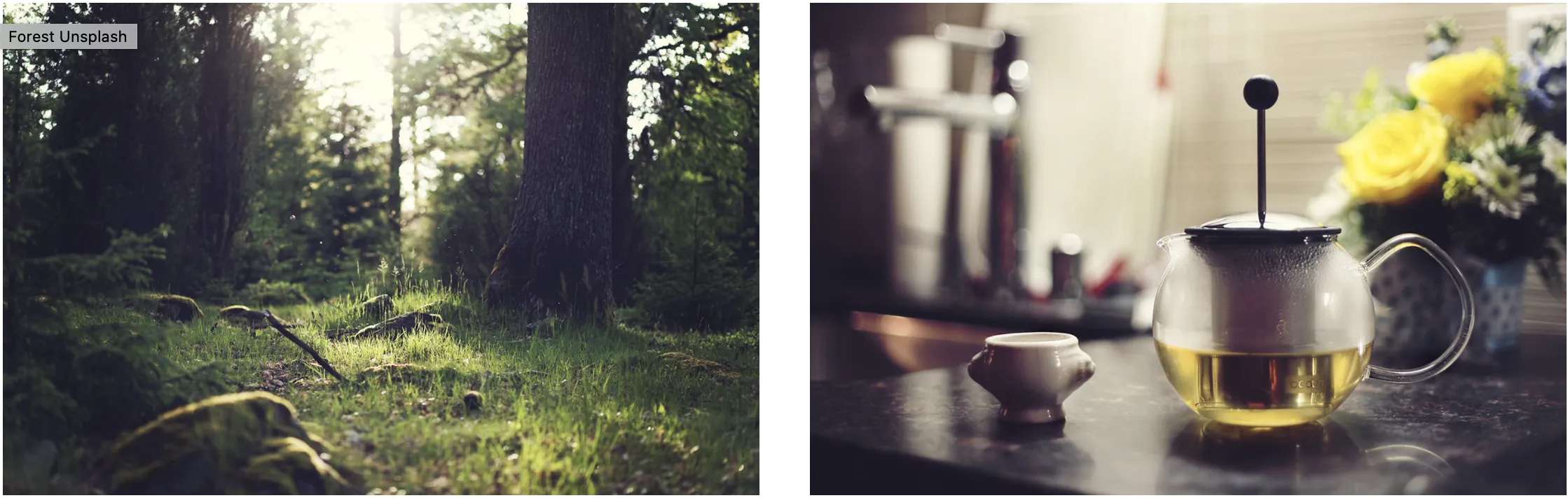 Unsplash Photo Examples 1