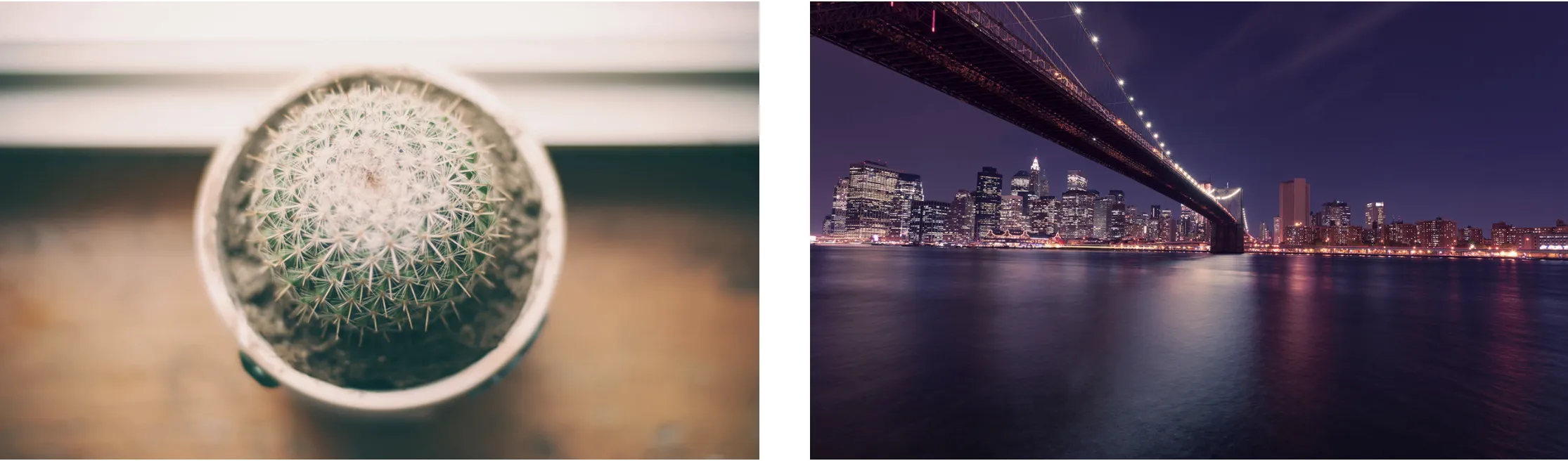 Unsplash Photo Examples 2