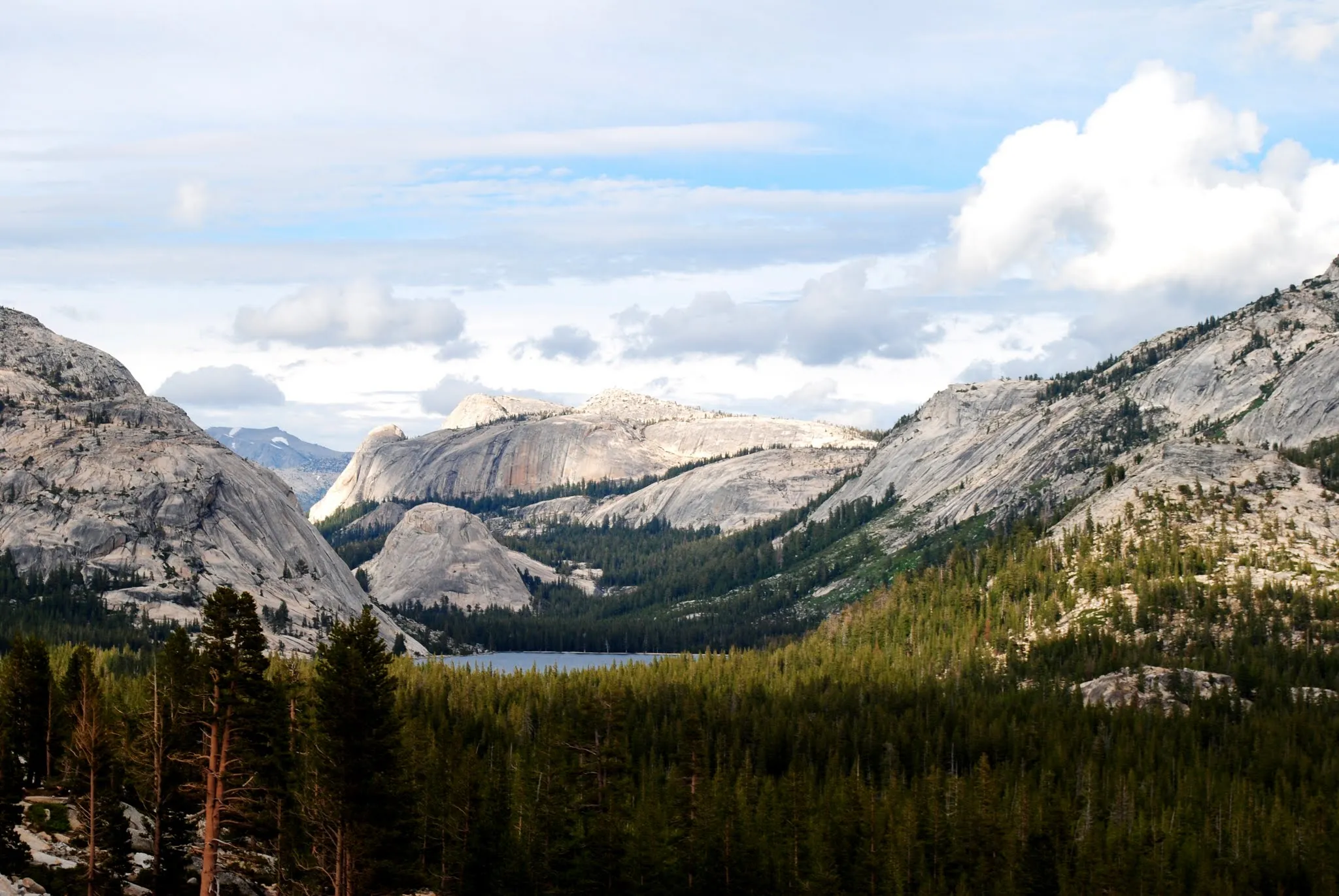 Tenaya Lake in Yosemite's high country.