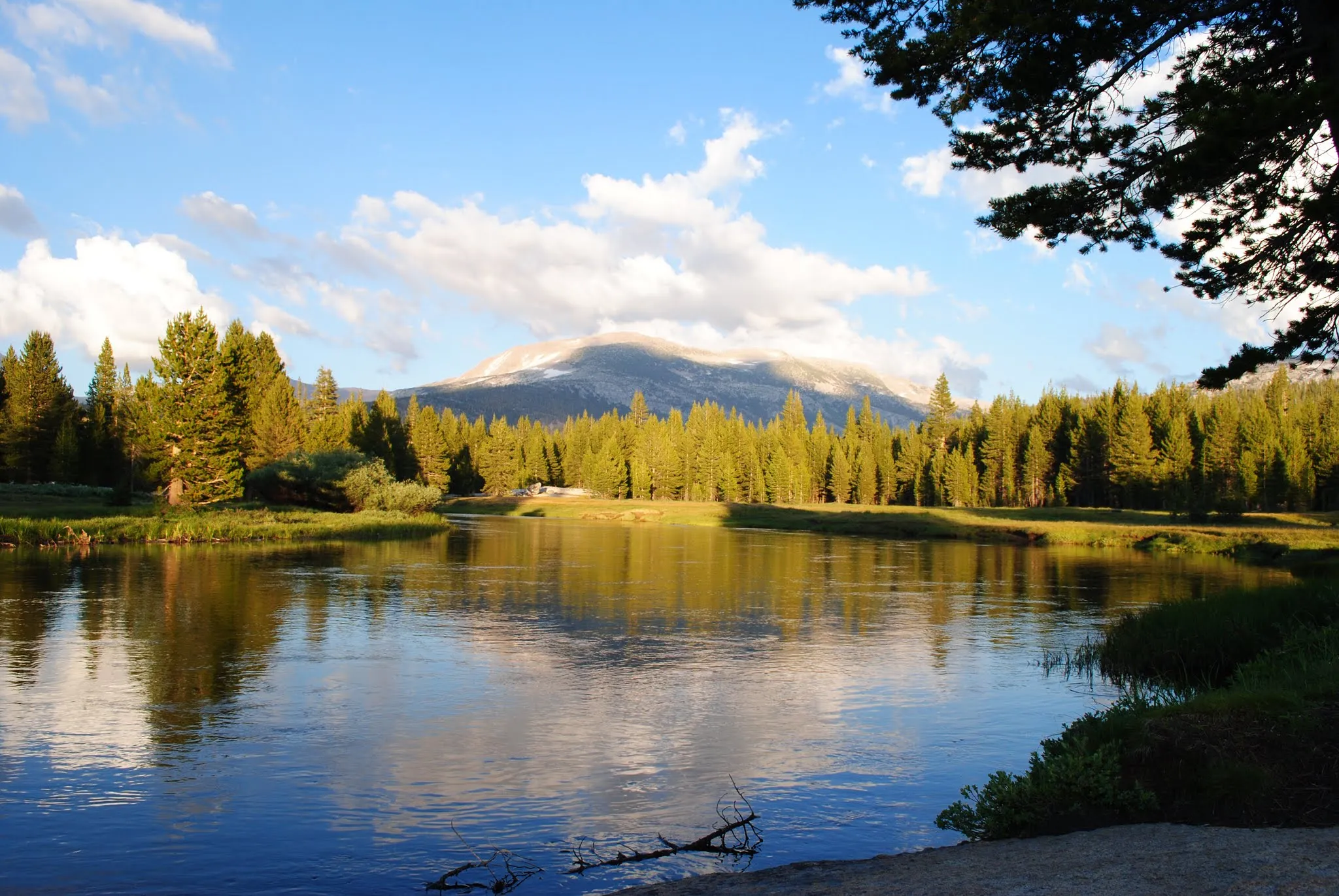 River with trees and a mountain in the background.